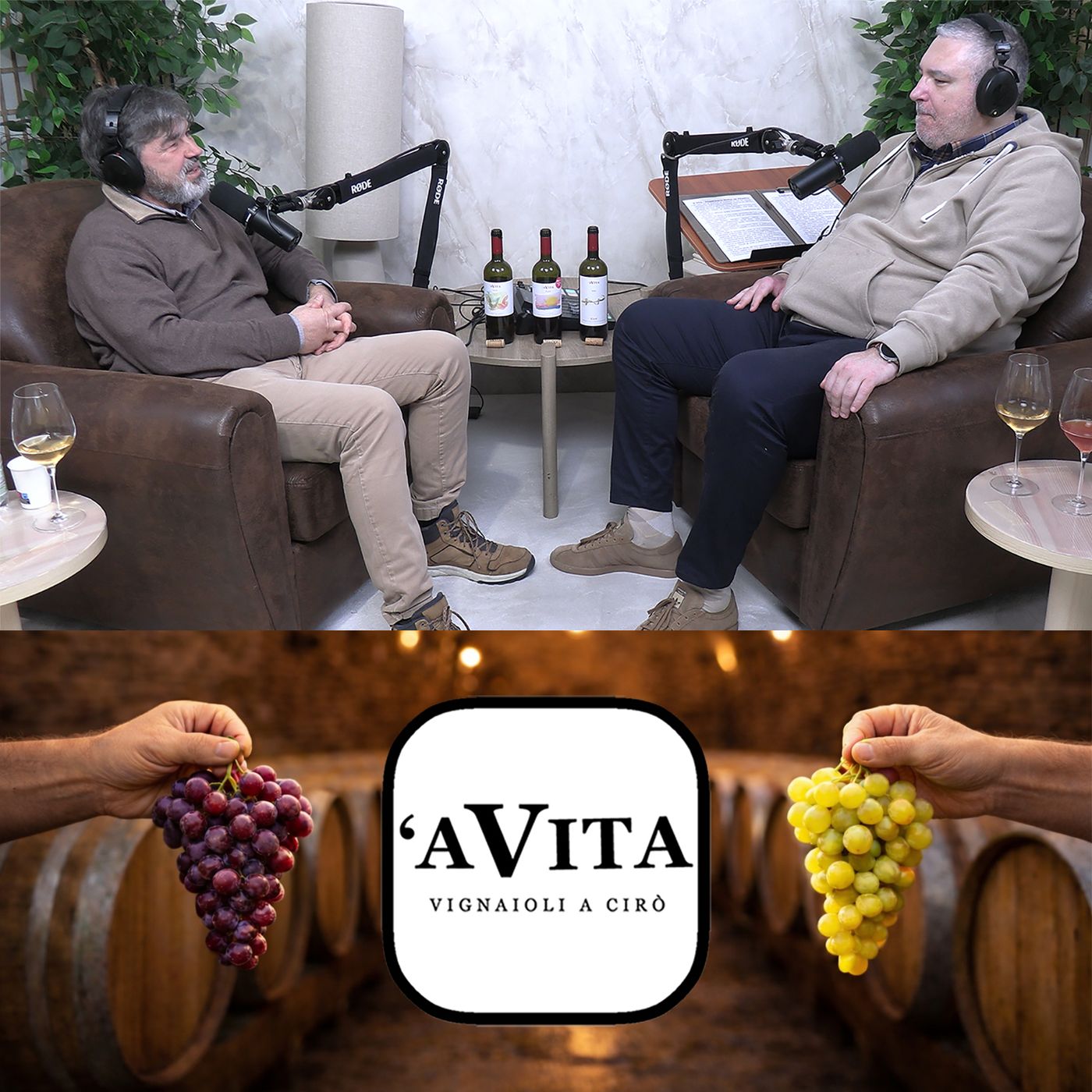 Storie di Vino e Viticoltori