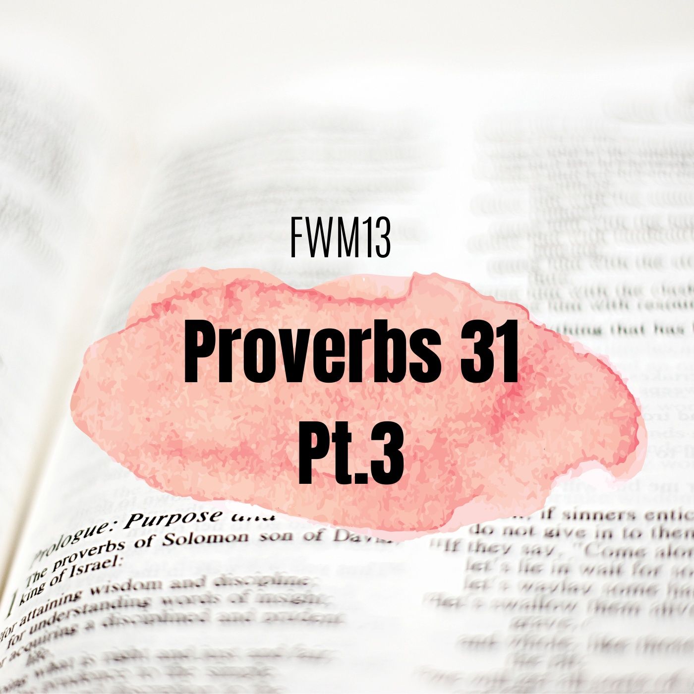 FWM13 Proverbs 31 Pt. 3