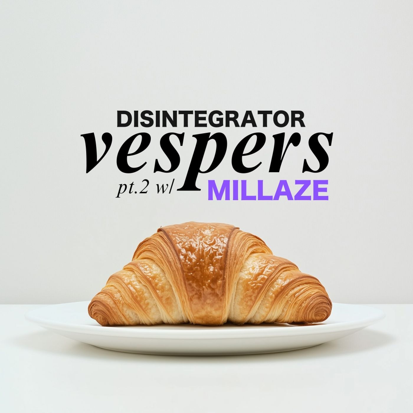 Disintegrator