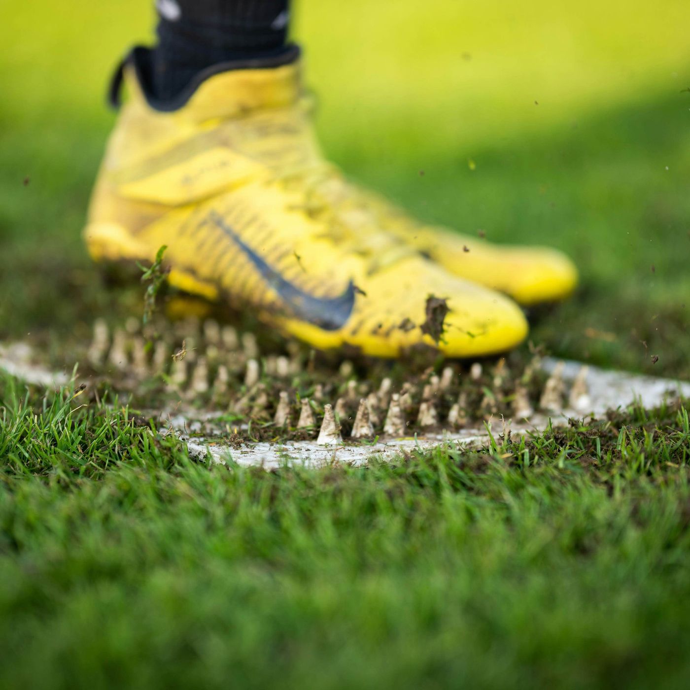 🏈 Real Estate Forecasts, Payroll Compliance, and Collegiate Sports Dynamics