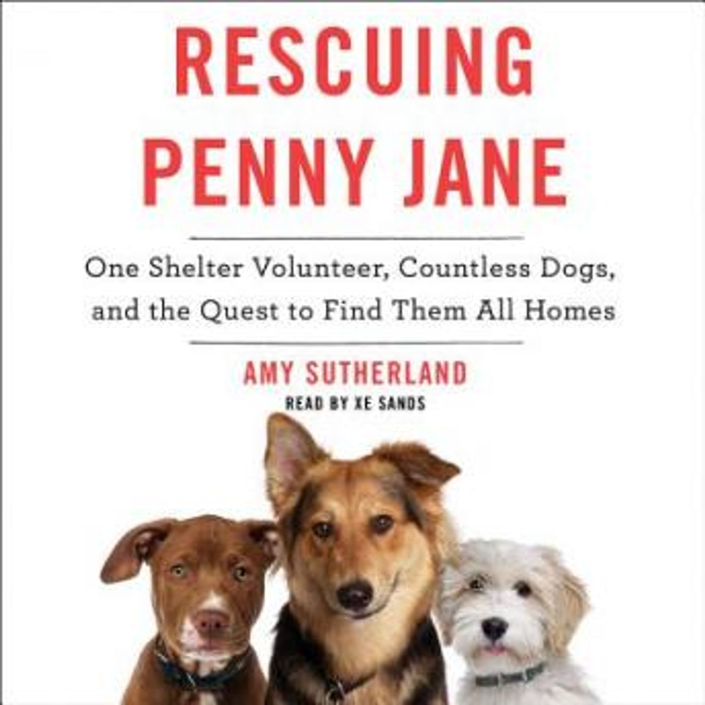 Listen to Latest Full Audiobooks in Non-Fiction, Animals & Nature