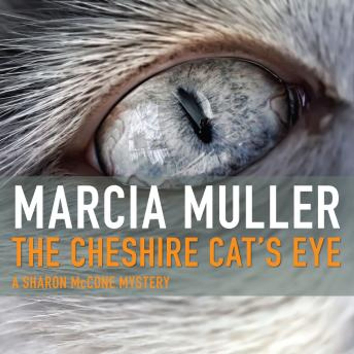 Listen to Full Audiobooks in Mystery, Thriller & Horror, Police & Detective