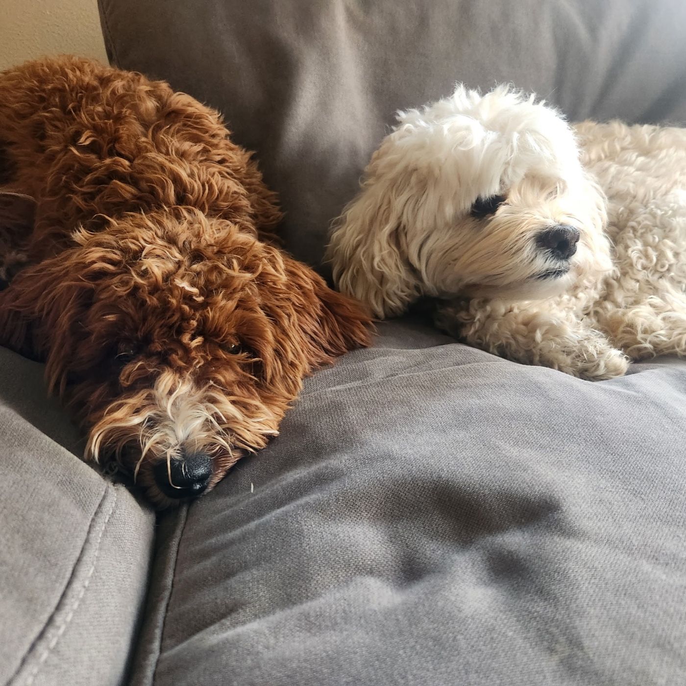 All About Stuff cover art