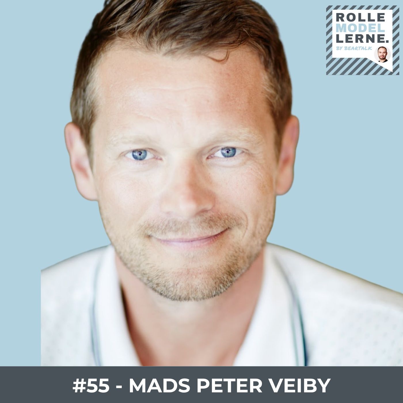 Rollemodellerne by Bjørn Vestergaard