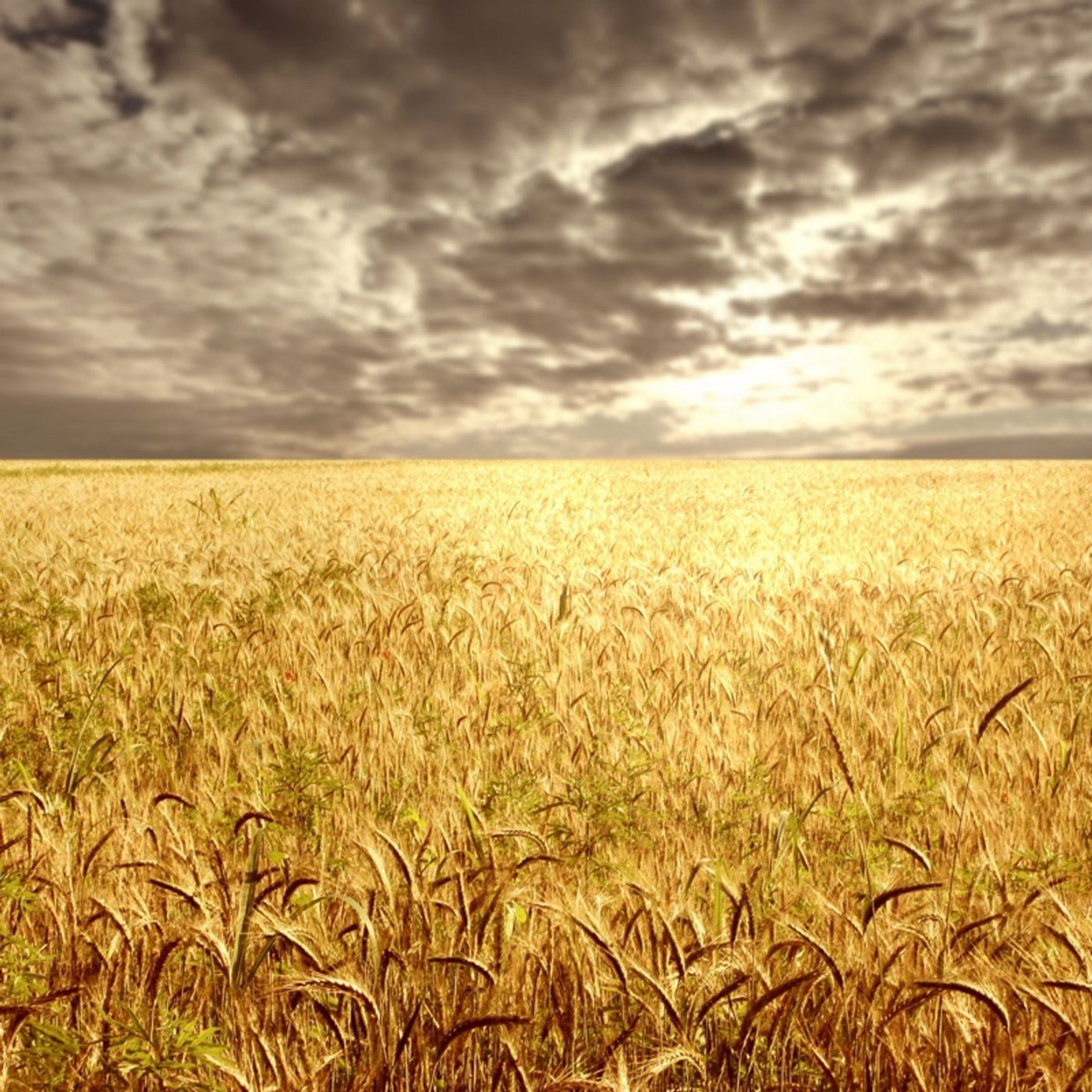 New Hope Fellowship Central Florida