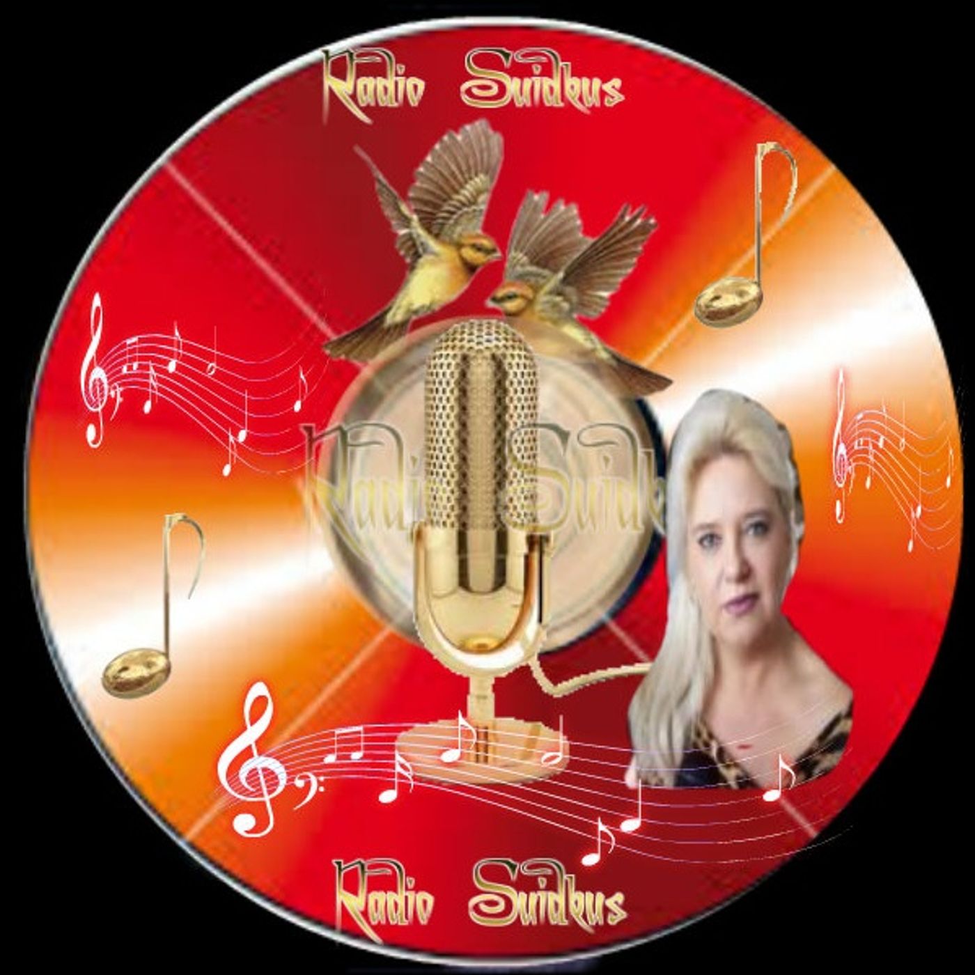 Radio Suidkus