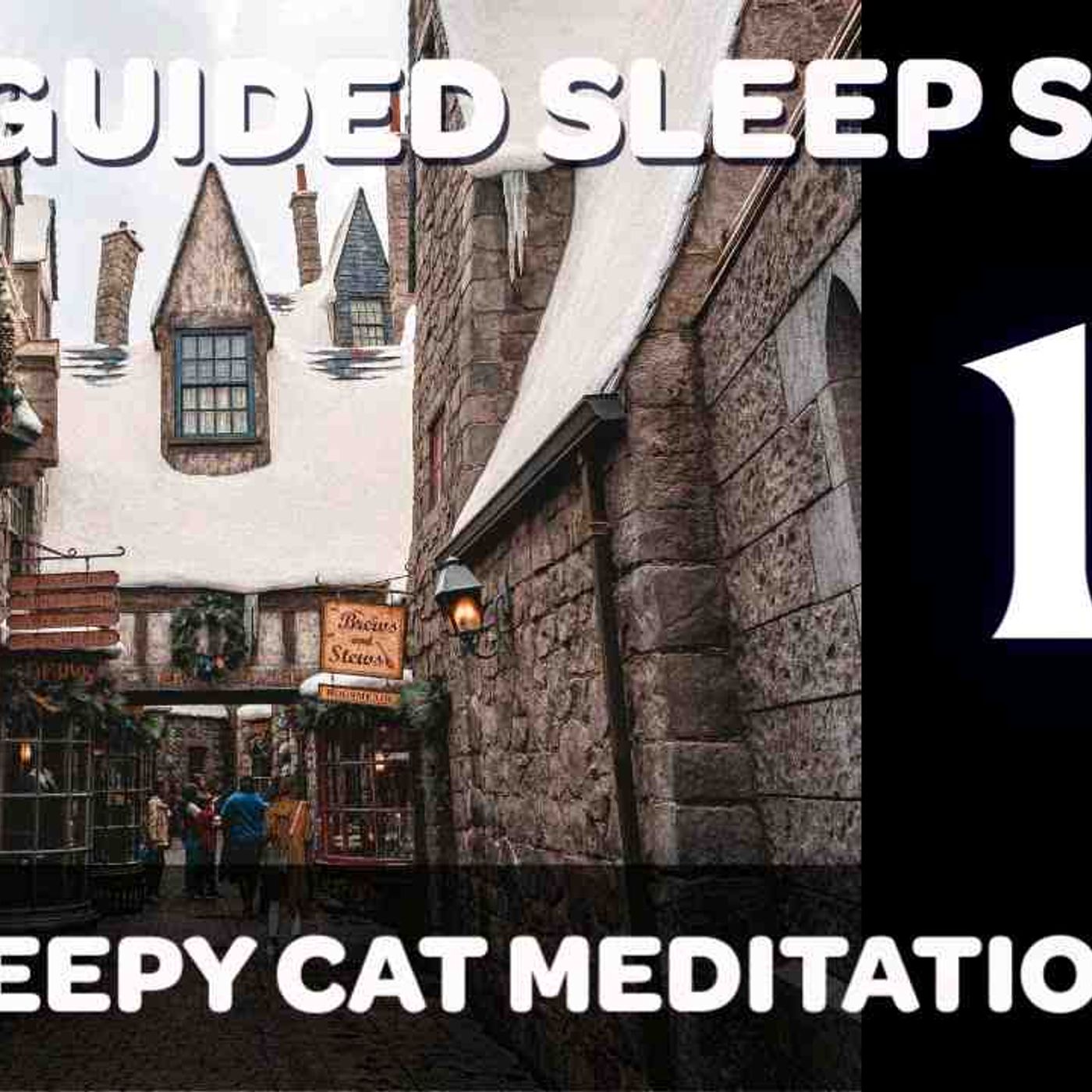 Sleepy Cat Meditation
