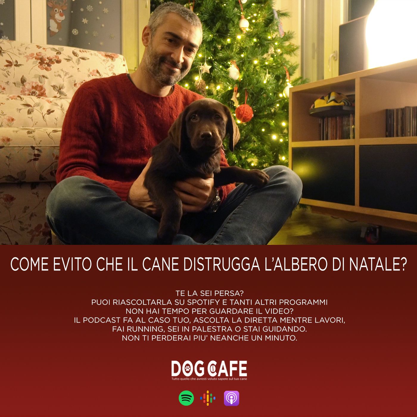 Dog Cafe Podcast