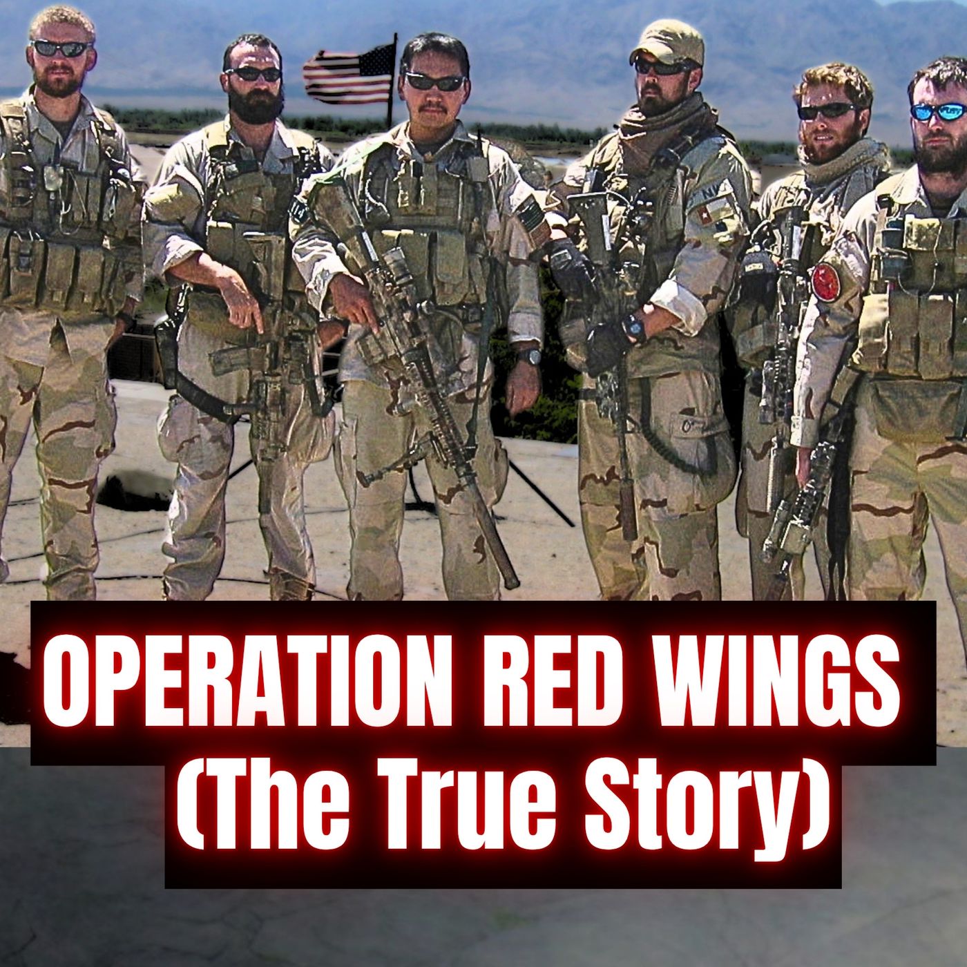 Operation Red Wings: What Actually Happened | Ed Darack & Ross Schneiderman | Ep. 404