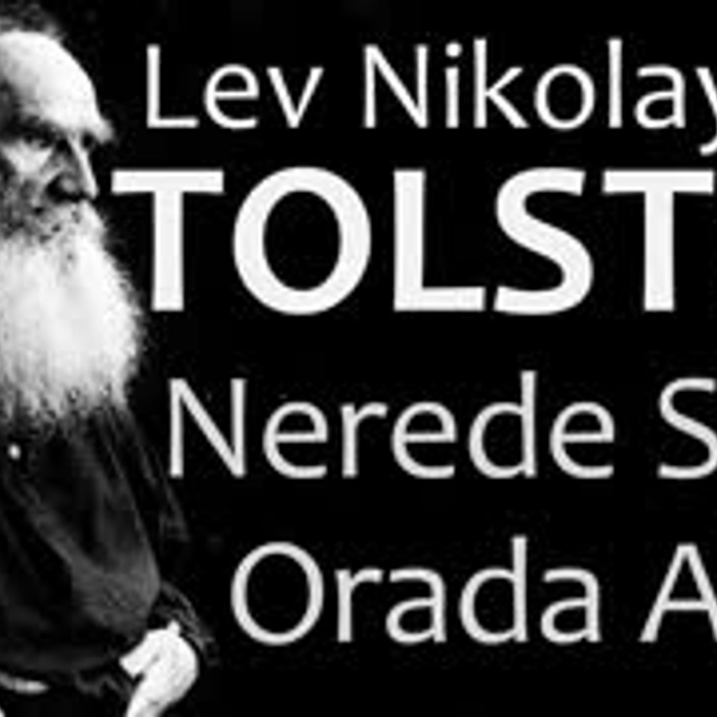 Kitap Okumaları