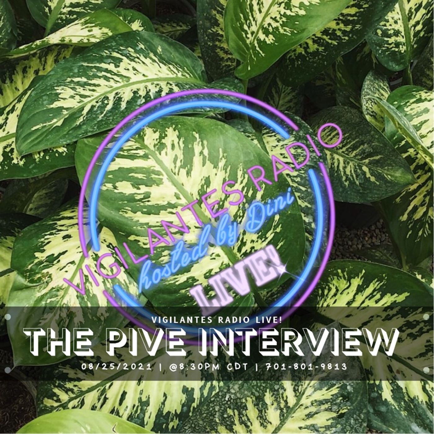 The PIVE Interview. Image