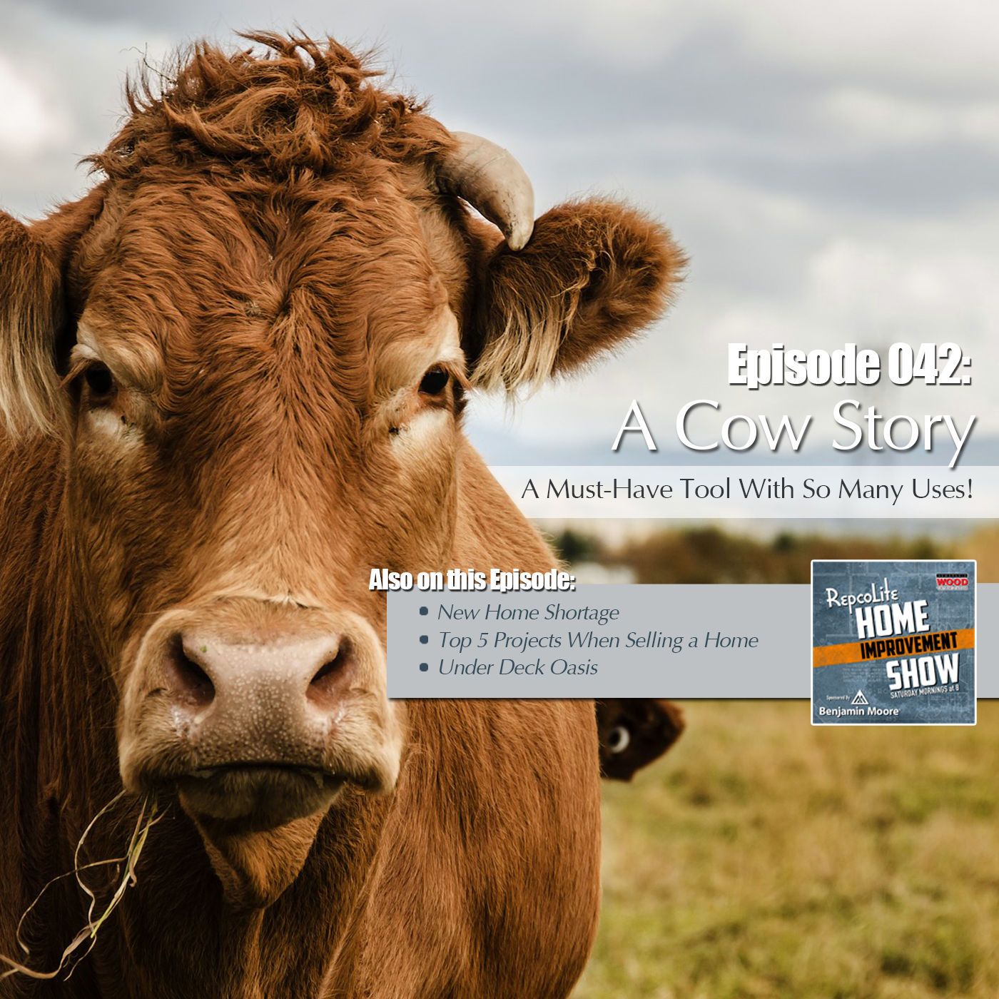 Episode 051: An Historic Housing Shortage, Betsy's Toolbox: Vise Grips, Top 5 Projects When Selling a Home, Under Deck Oasis