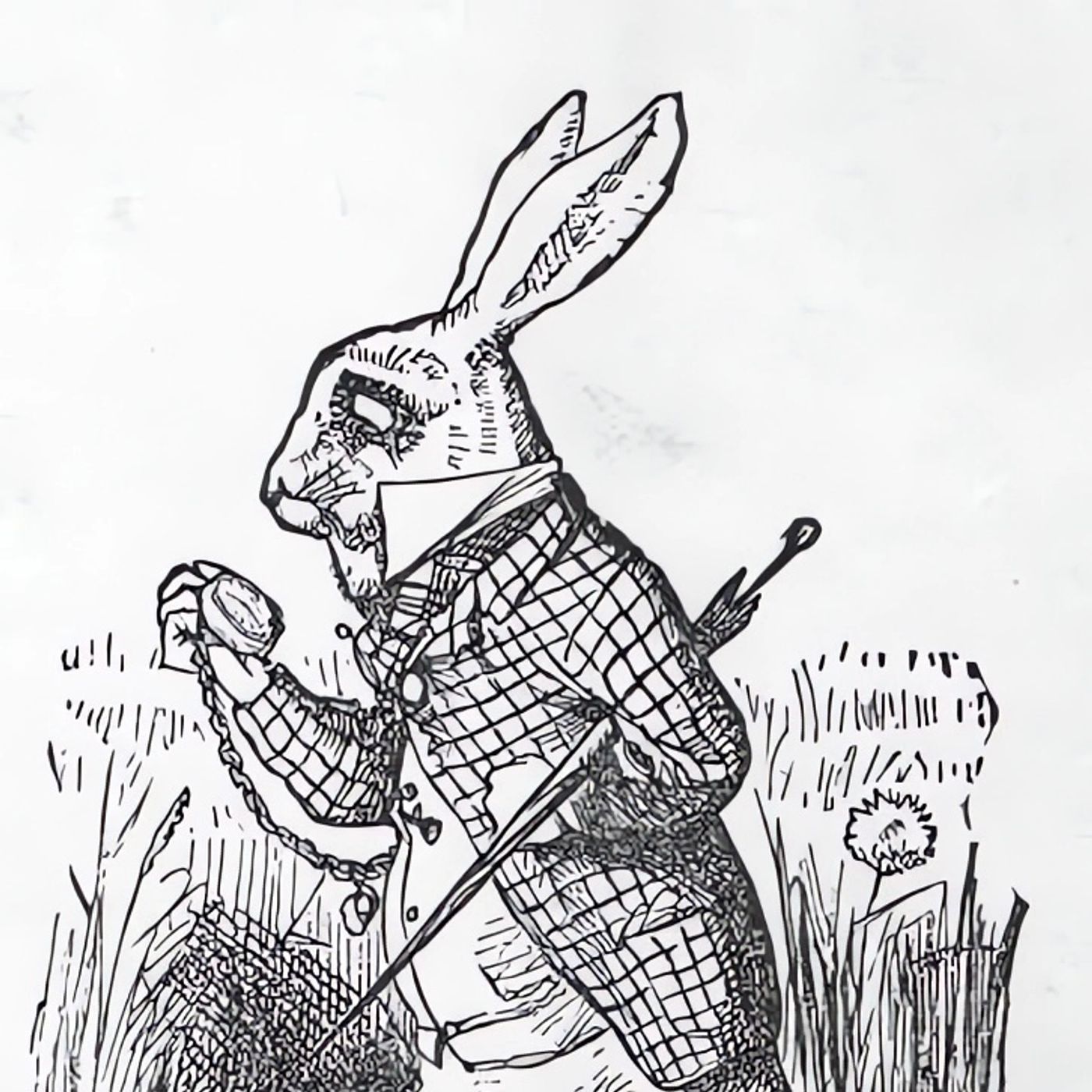 Alice in Wonderland (Volledig Boek) episode artwork