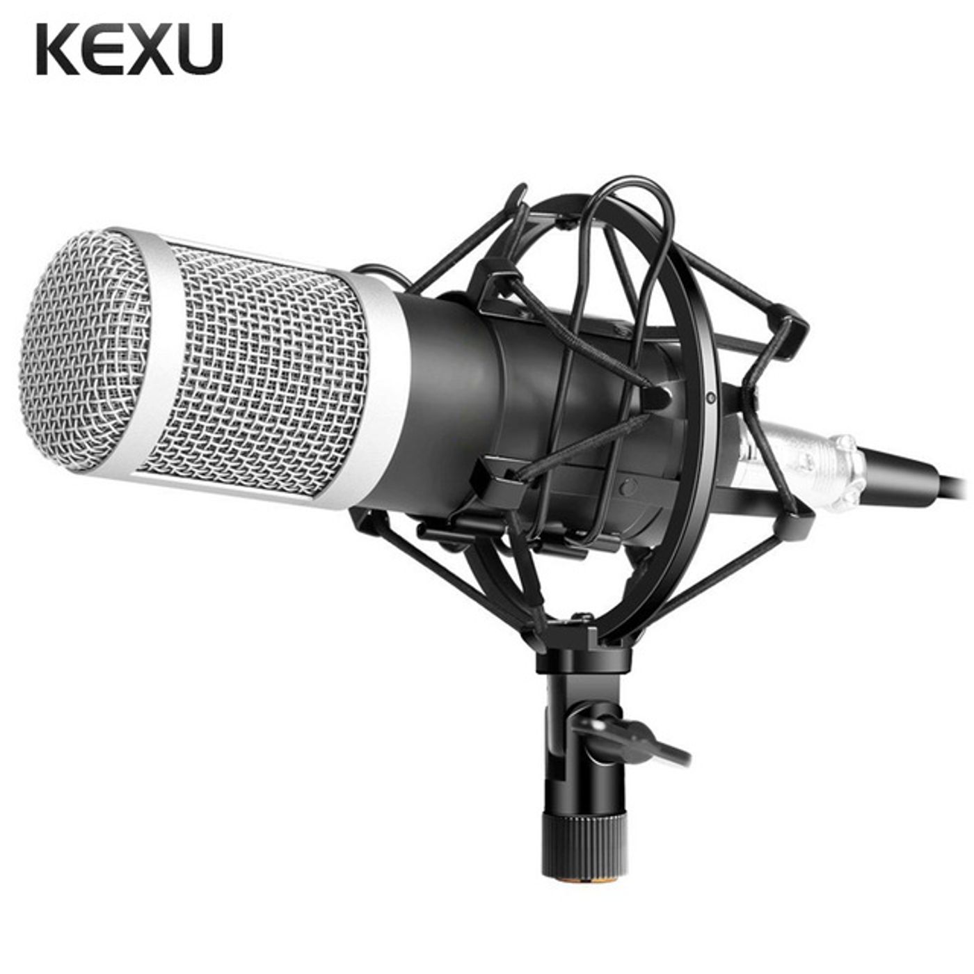 El show de Radio Academica PV. cover art