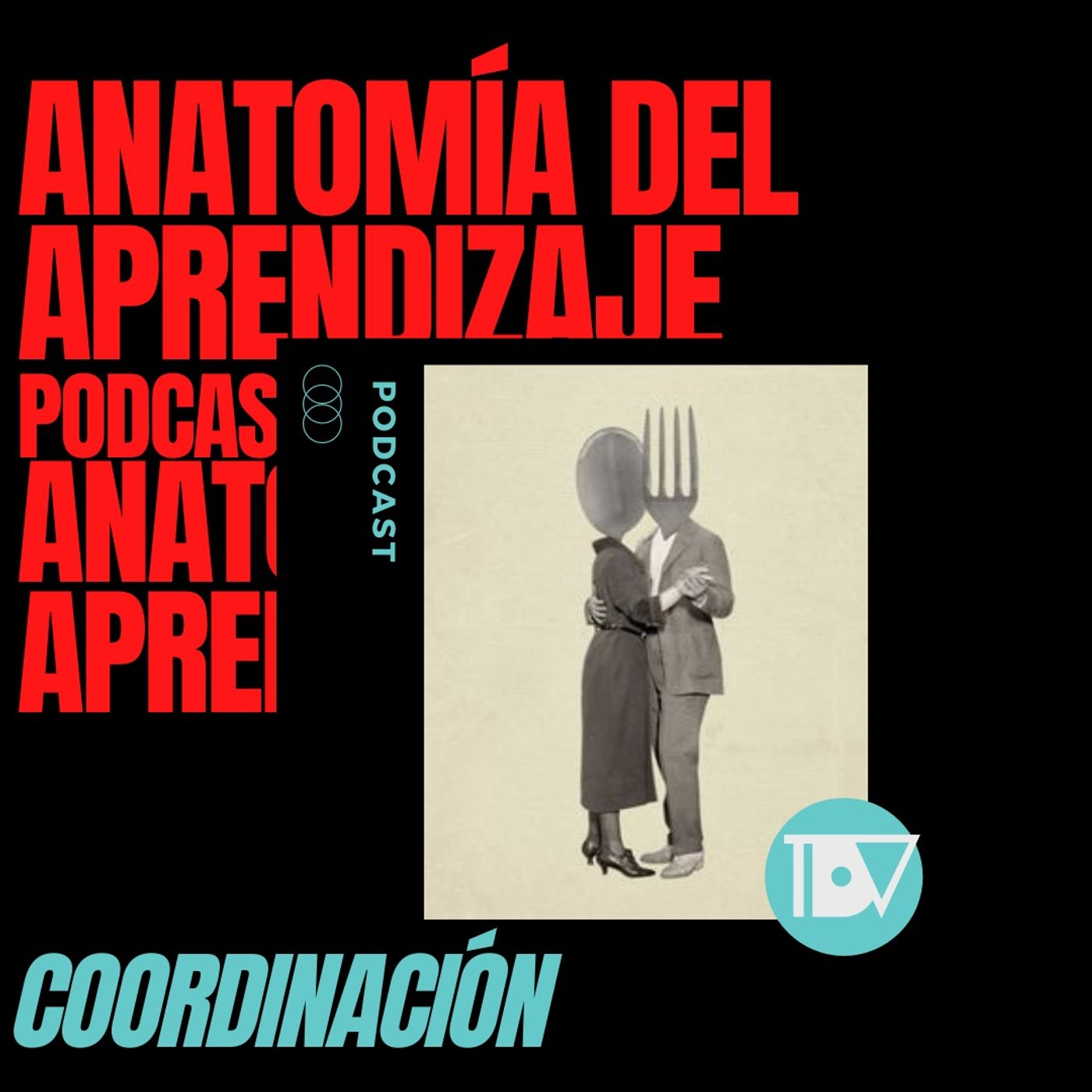 Anatomía del Aprendizaje
