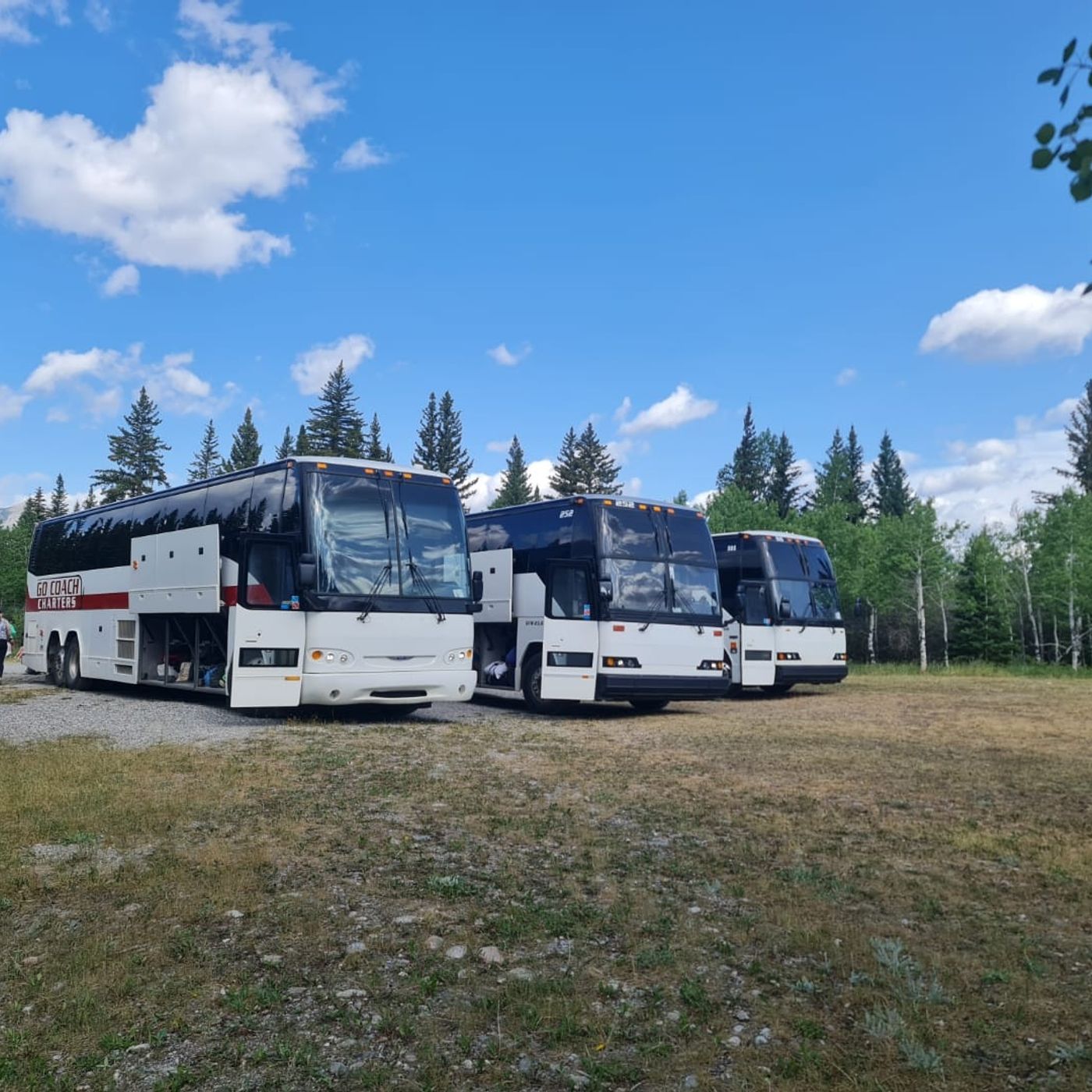 Stress-Free Group Travel in Edmonton episode artwork
