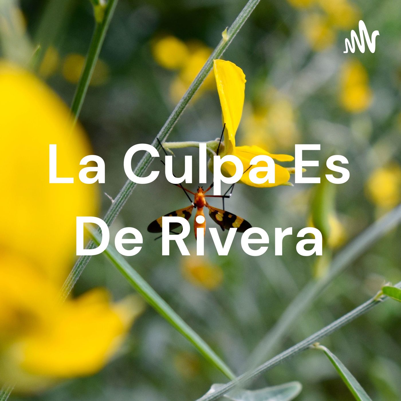 La Culpa Es De Rivera