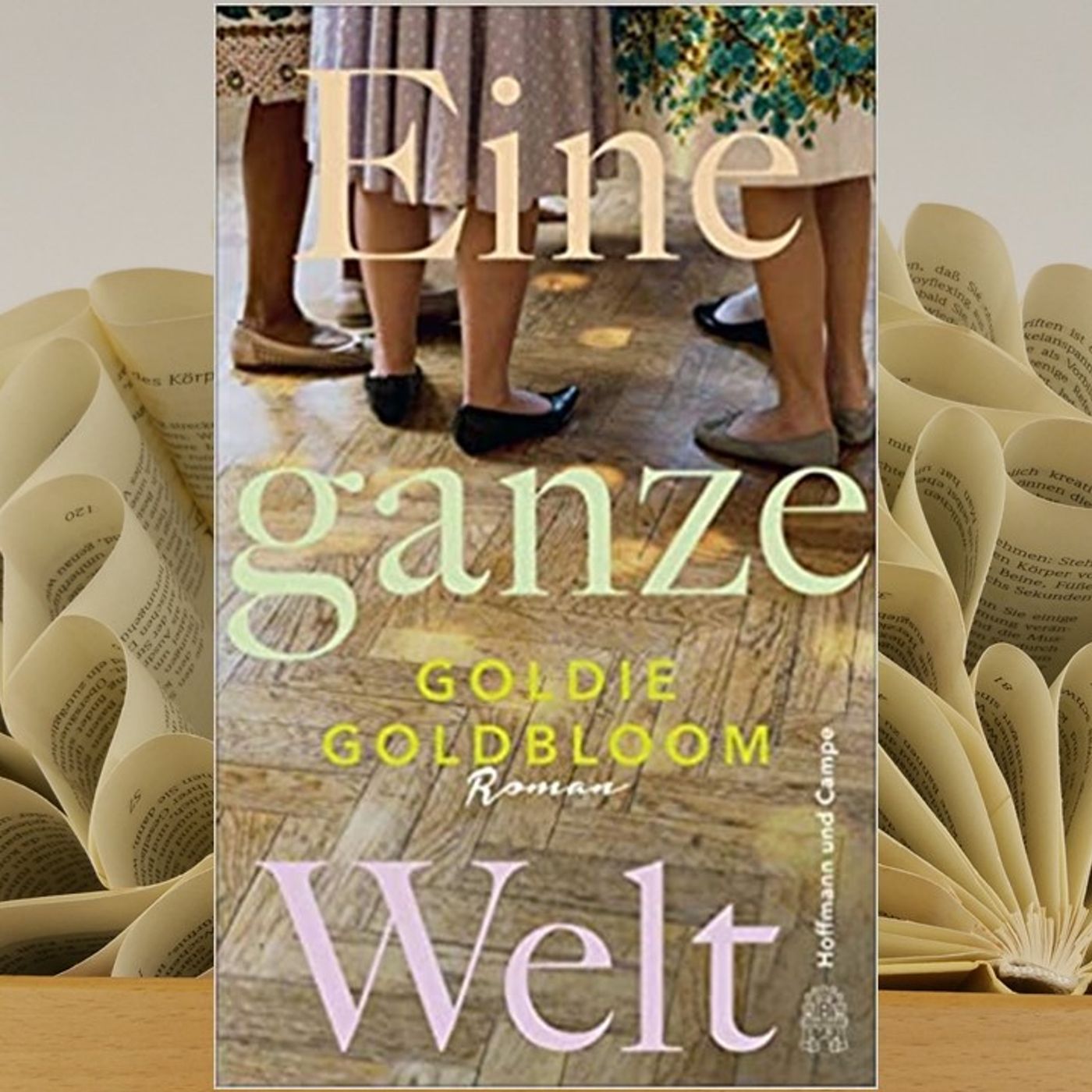 11.13. Goldie Goldbloom - Eine ganze Welt (Kerstin Morgenstern) episode artwork