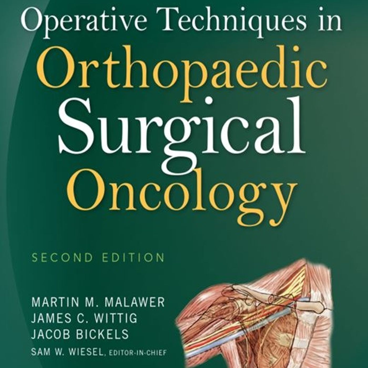 Operative Techniques in Orthopaedic Surgical Oncology episode artwork