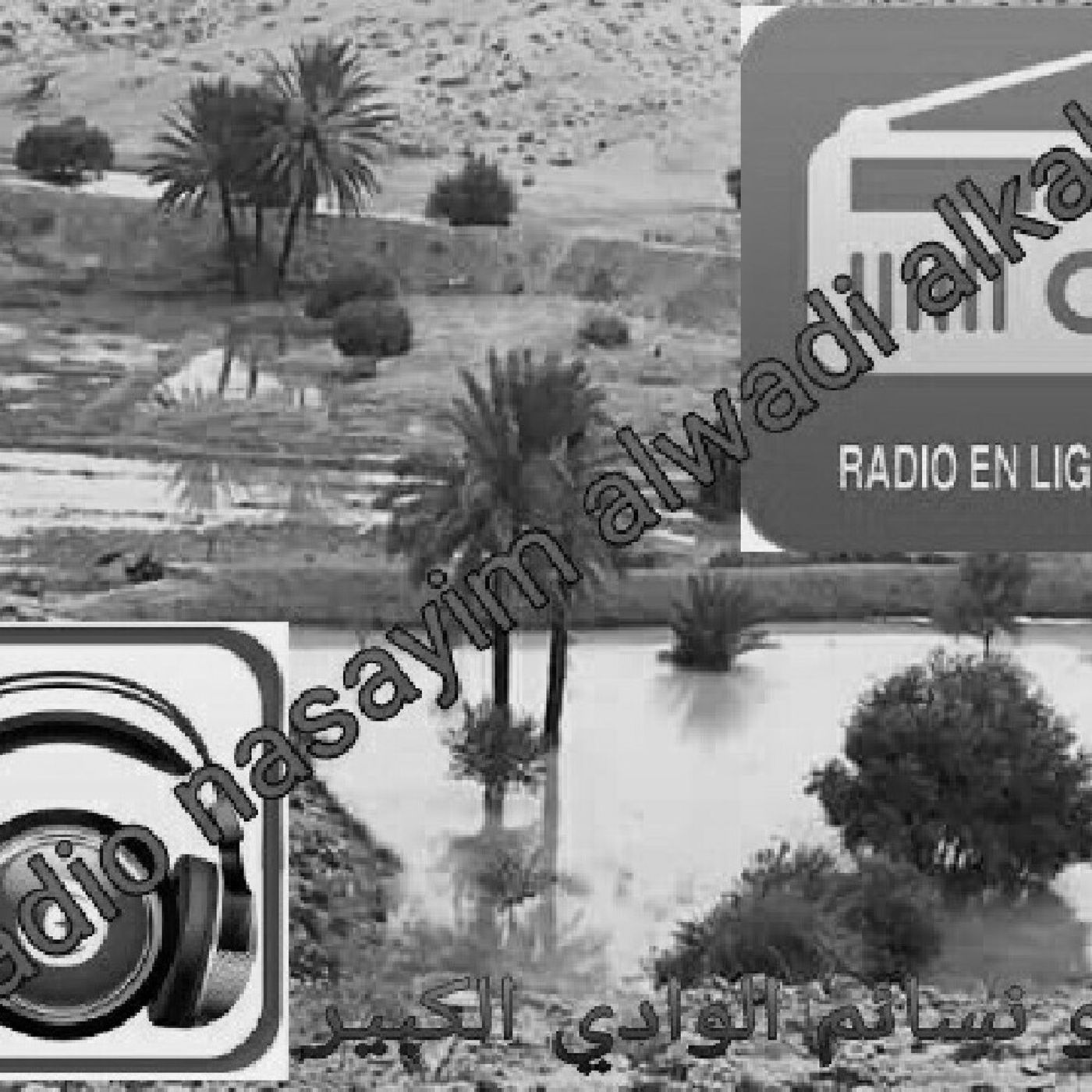 radio nasayim alwadi alkabir