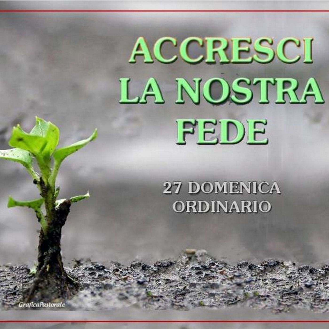 Omelia 05 Ottobre 2025 - XXVII Domenica del Tempo Ordinario