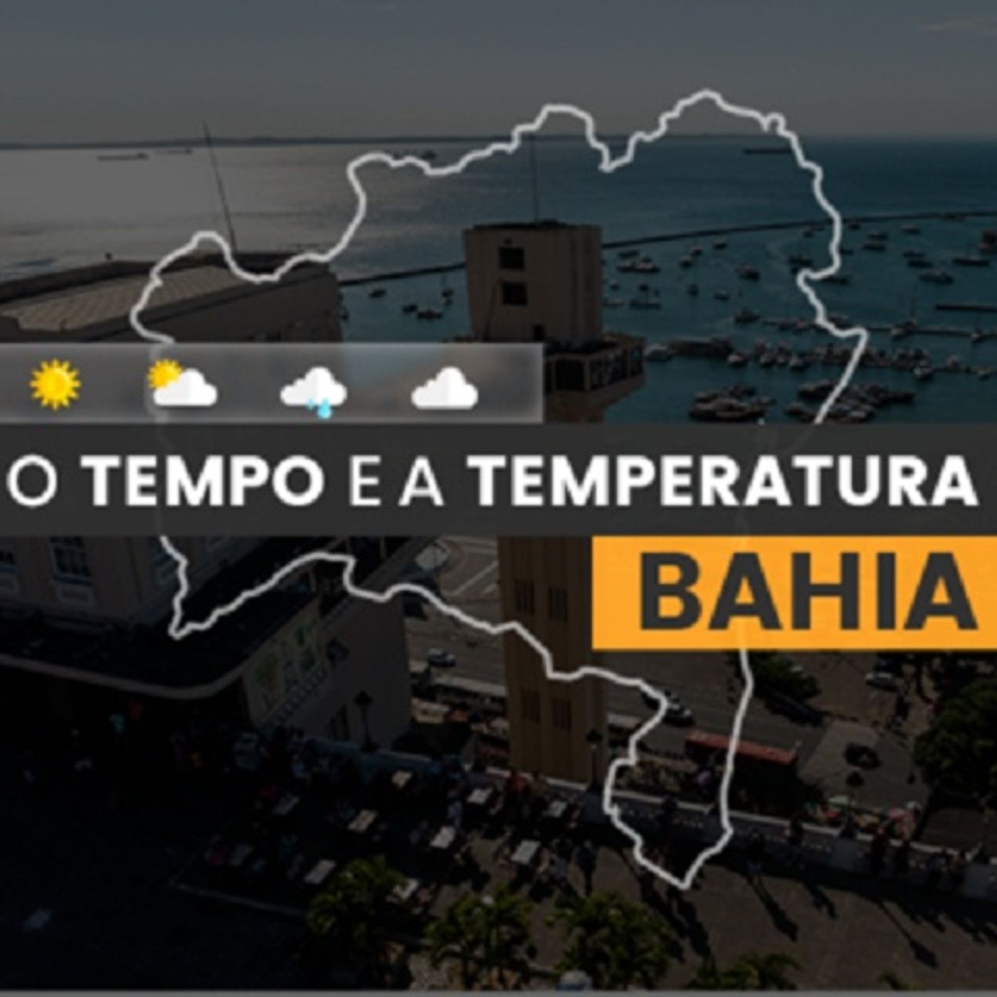 Rede Seta Notícias