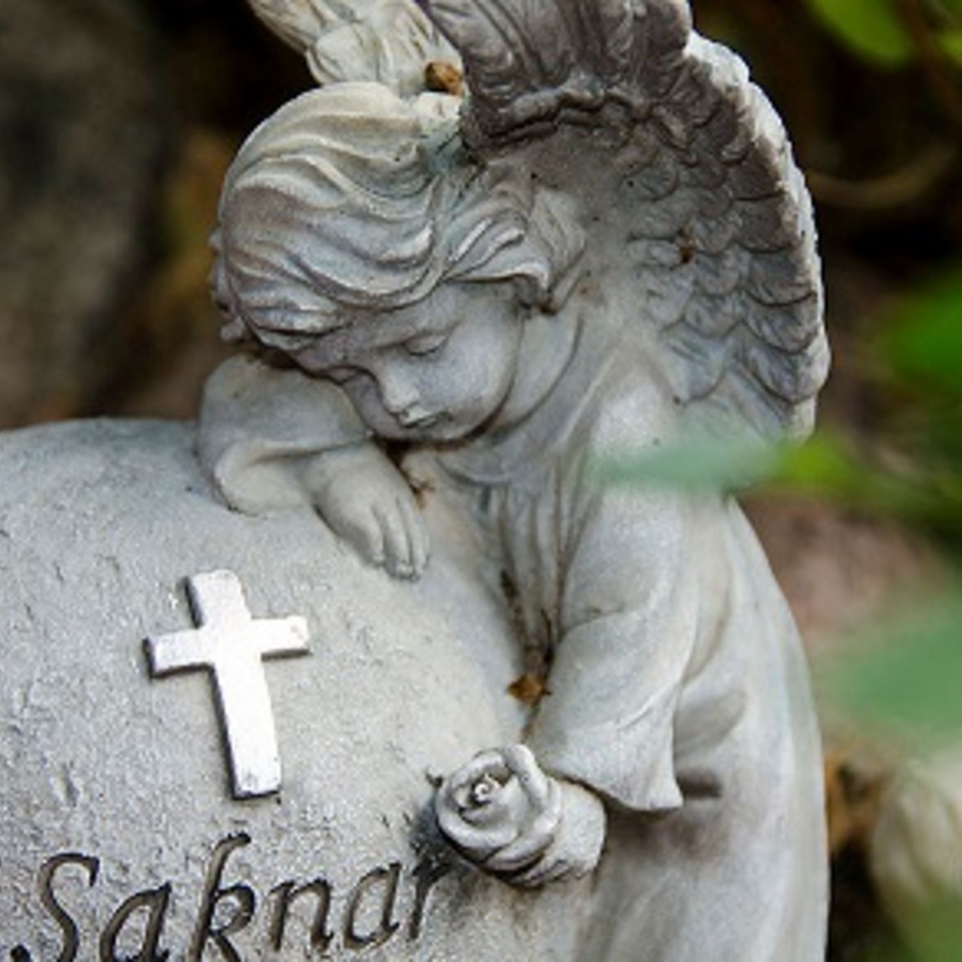 Seniorsidan