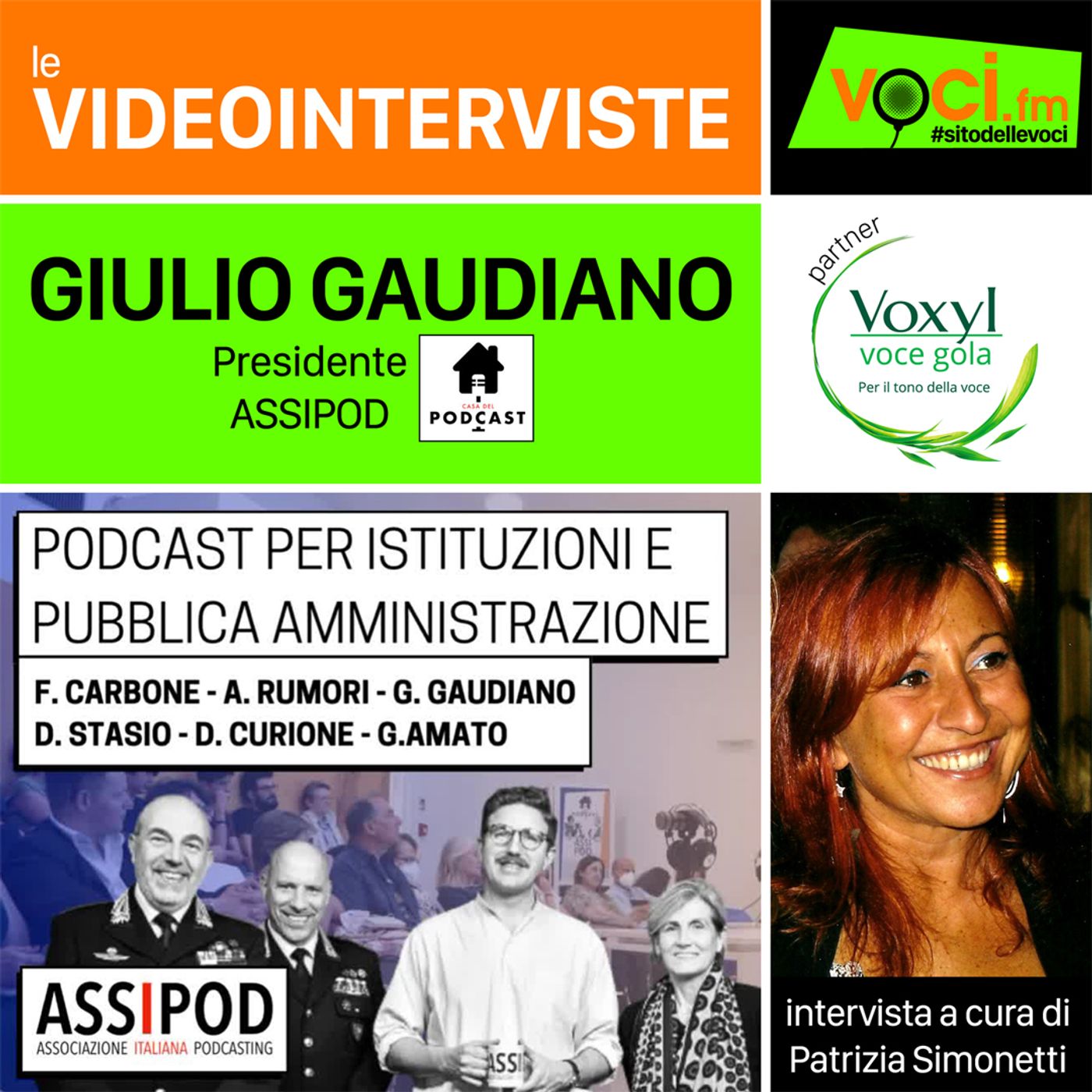 GIULIO GAUDIANO su VOCI.fm: masterclass podcast per istituzioni e PA - clicca play e ascolta l'intervista episode artwork
