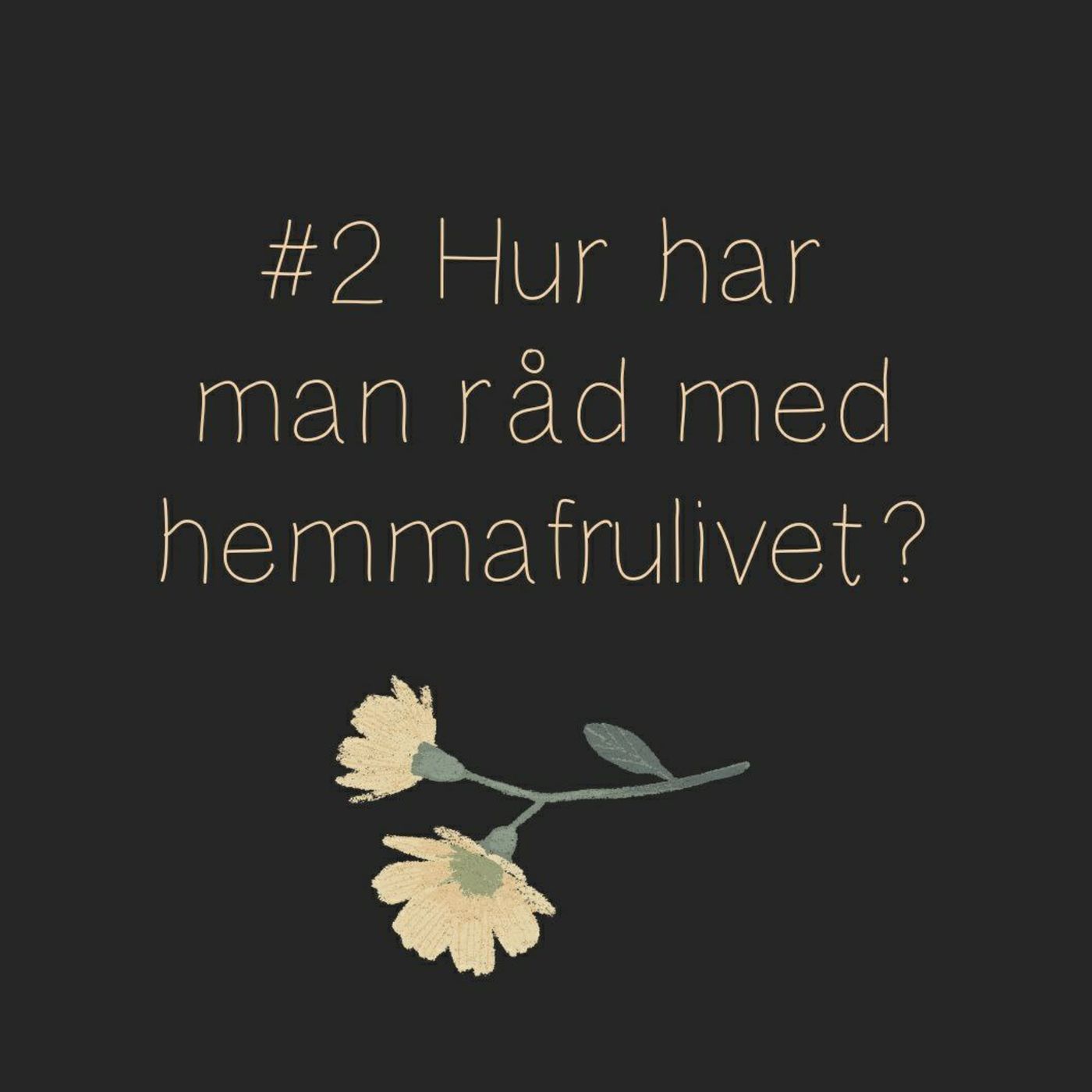 Hur har man råd med hemmafrulivet? episode artwork