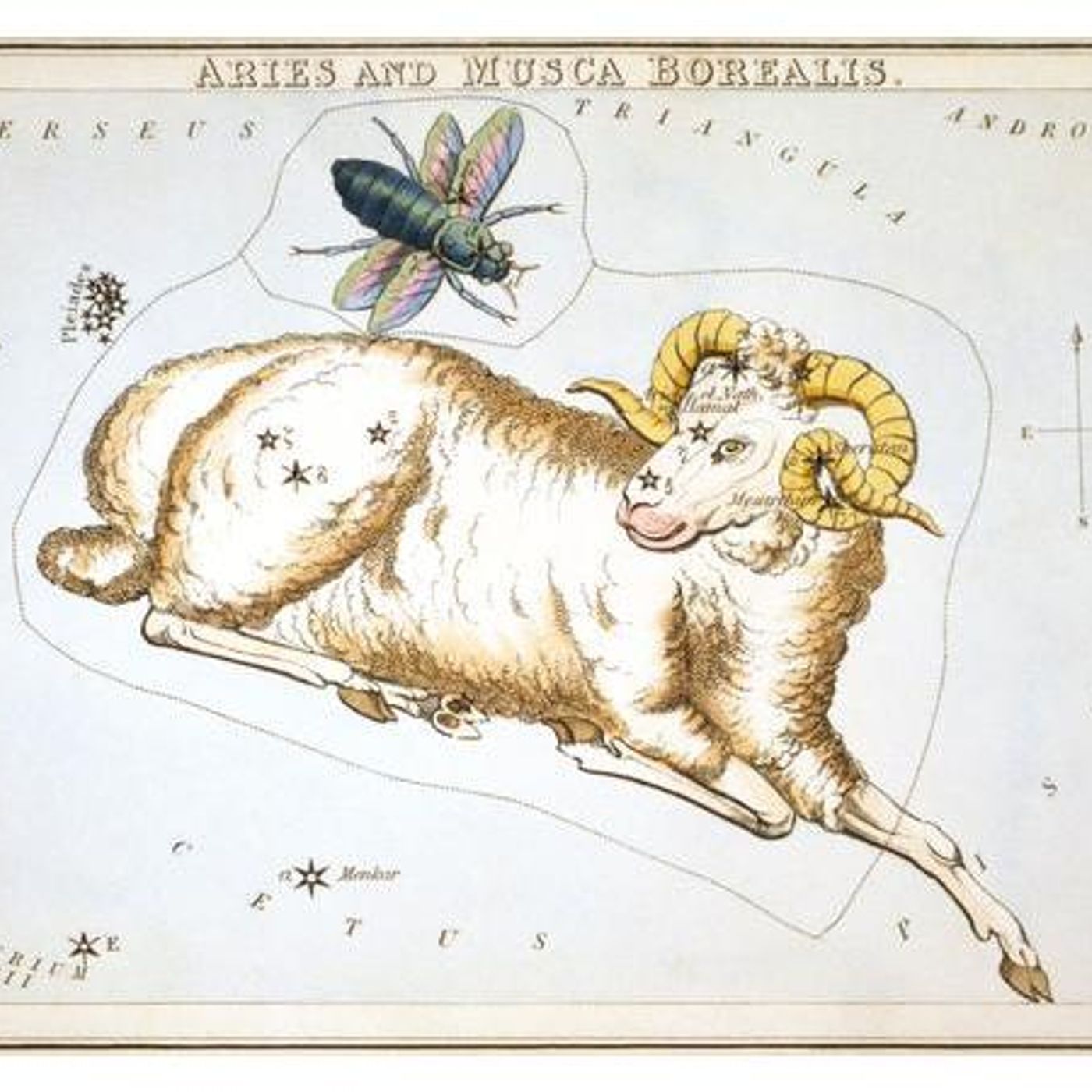The Zoe Moon Astrology Show NEW MOON in ARIES episode artwork