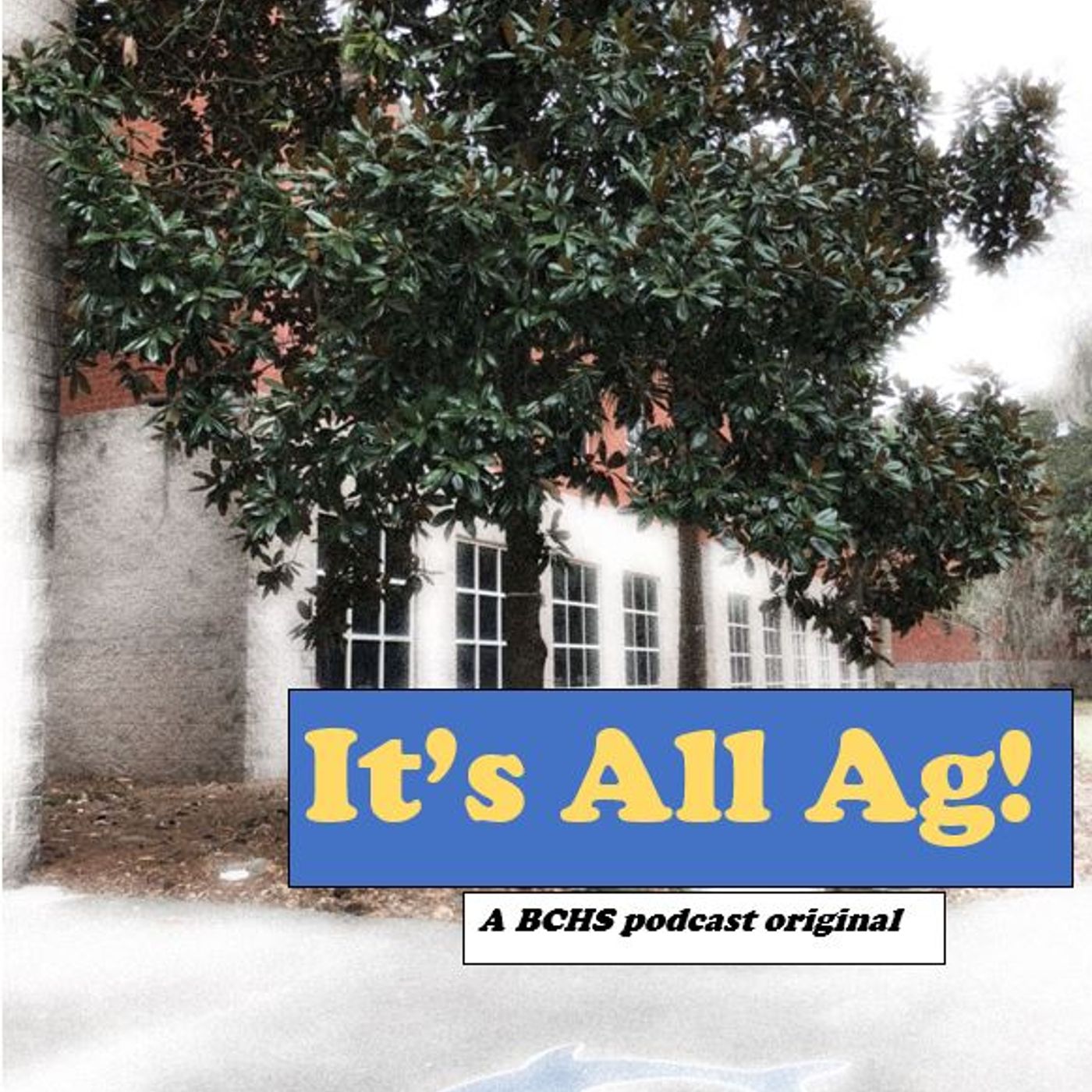It’s All Ag