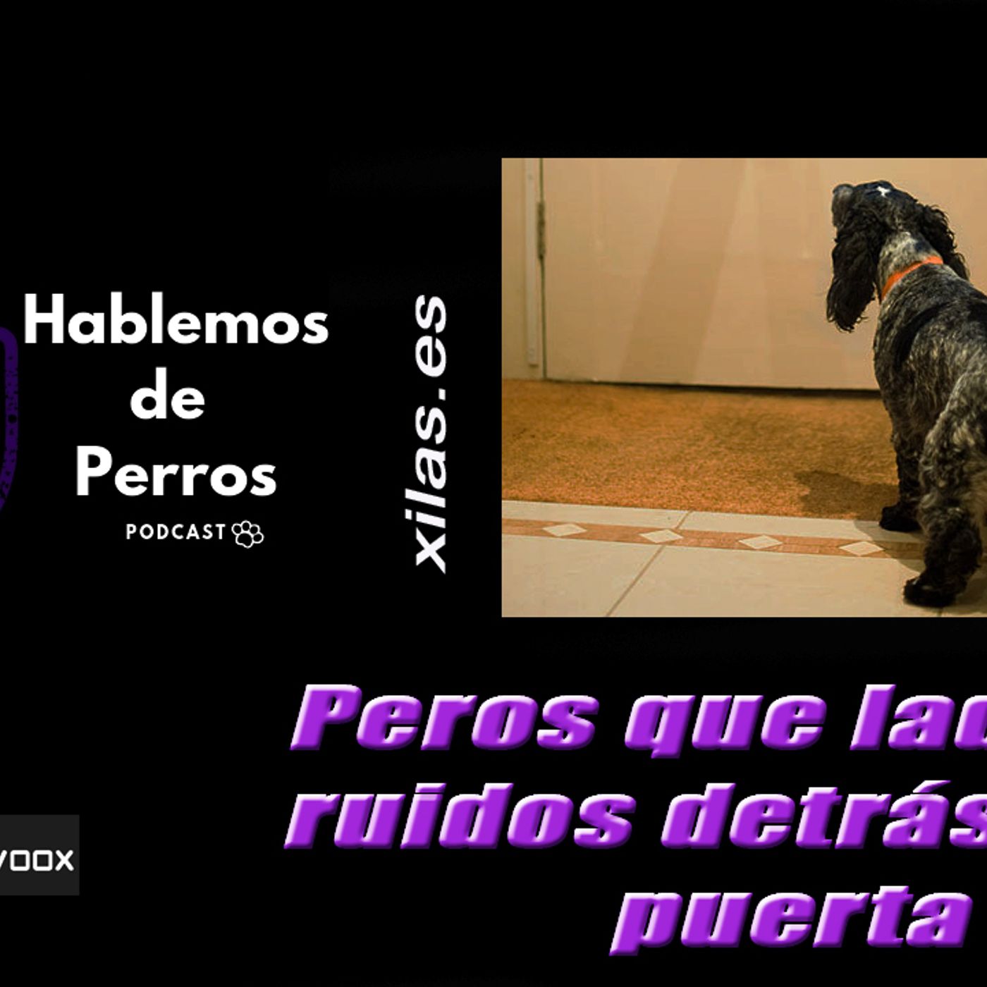Hablemos de perros