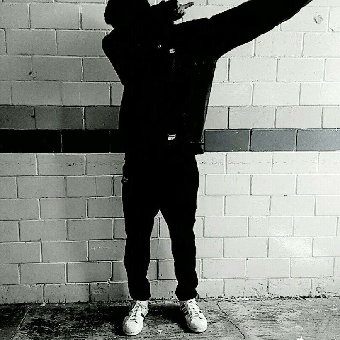 SkinnyFlak