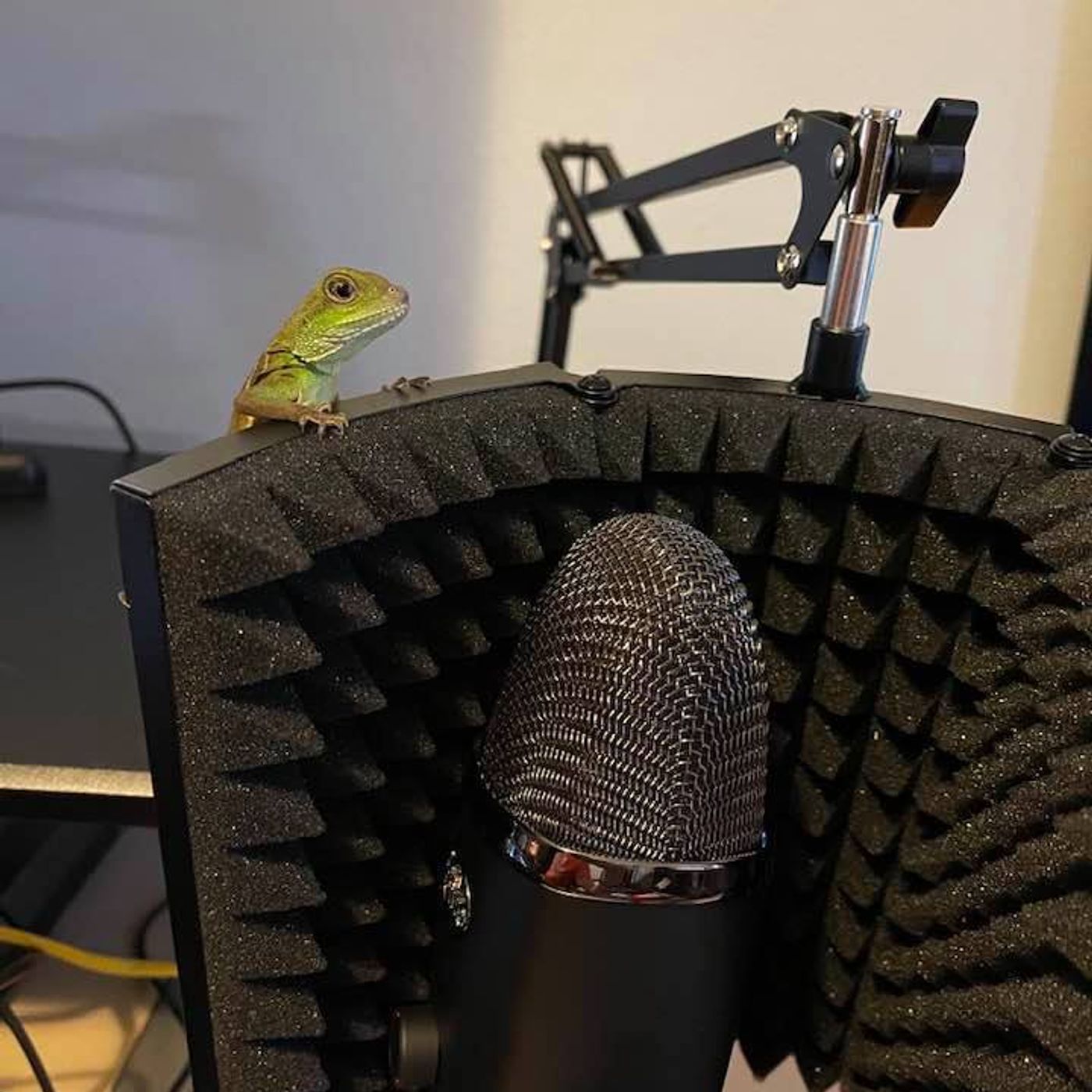 Dexter The Teacher Dexter The Teacher