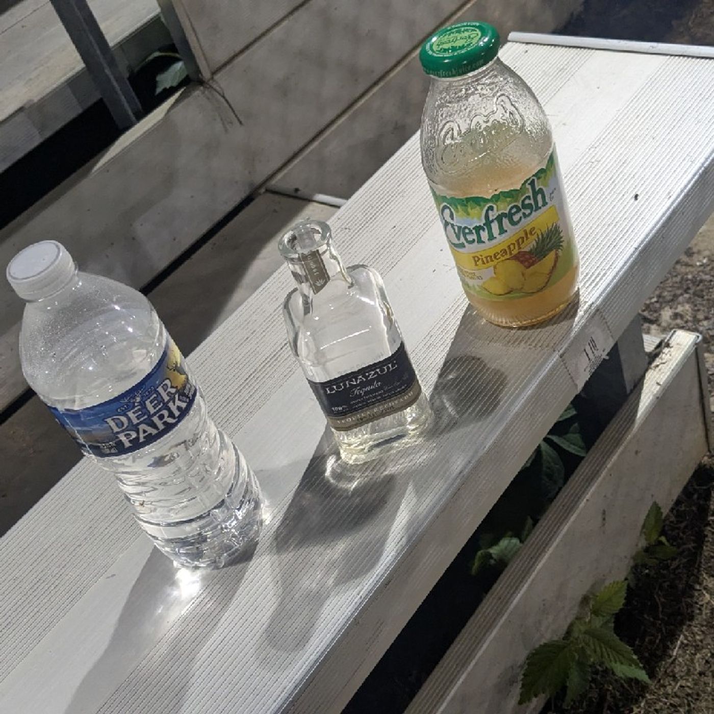 Episode 72 The bottles left at the bleacher stadium- Terry Dwayne Ashford CEO DatMedia episode artwork