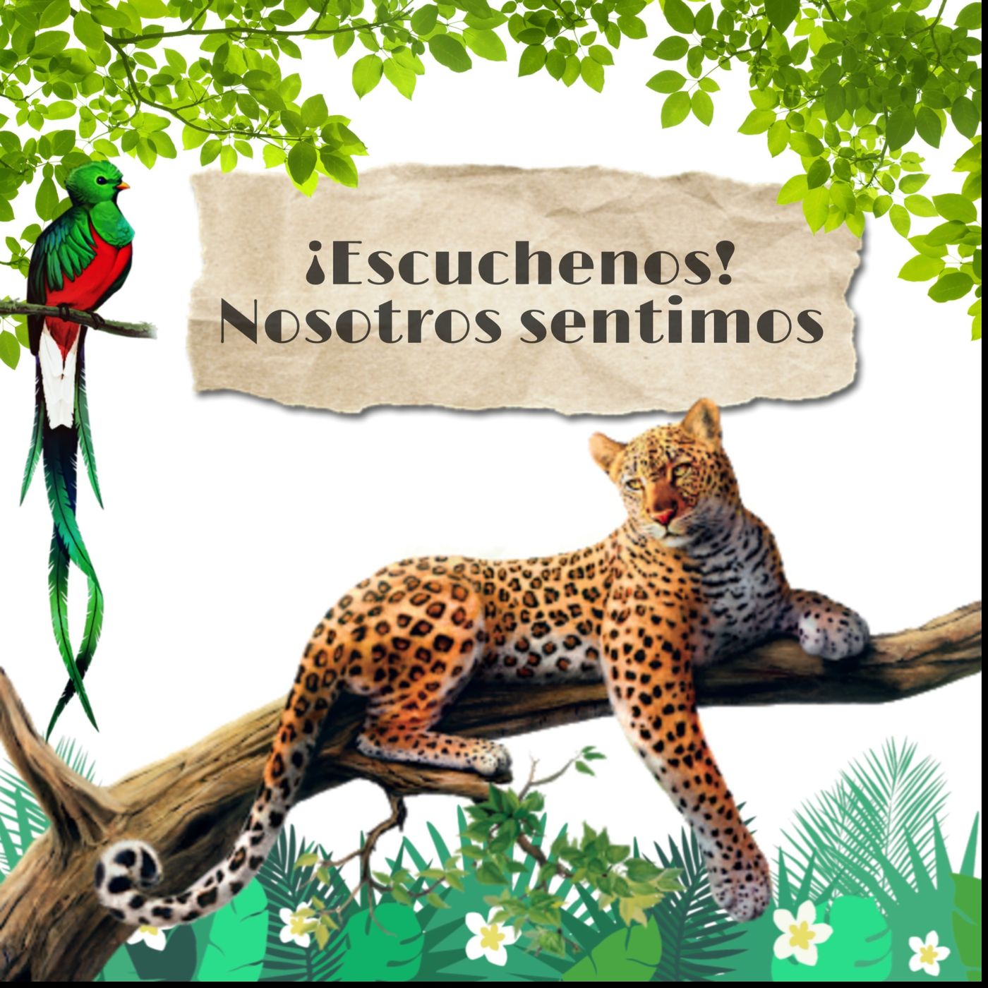 ¡Escuchenos! Nosotros sentimos