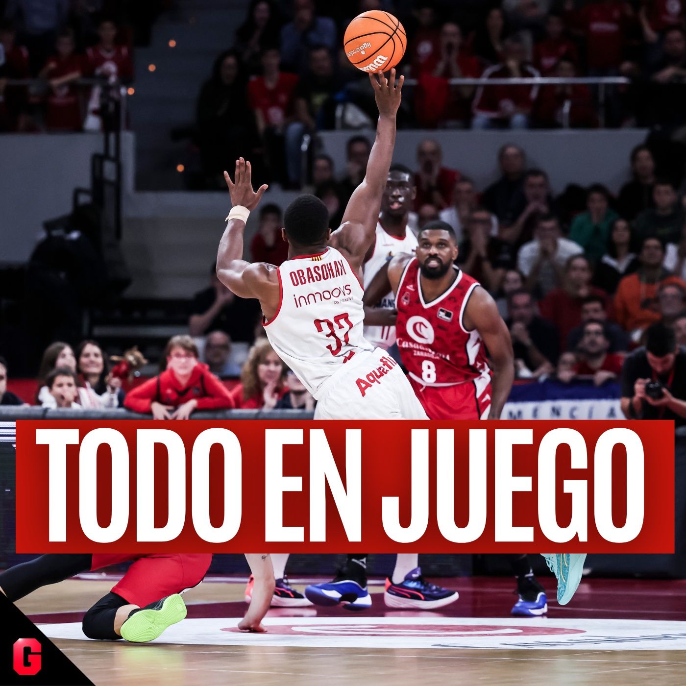 Gigantes Daily, baloncesto al día