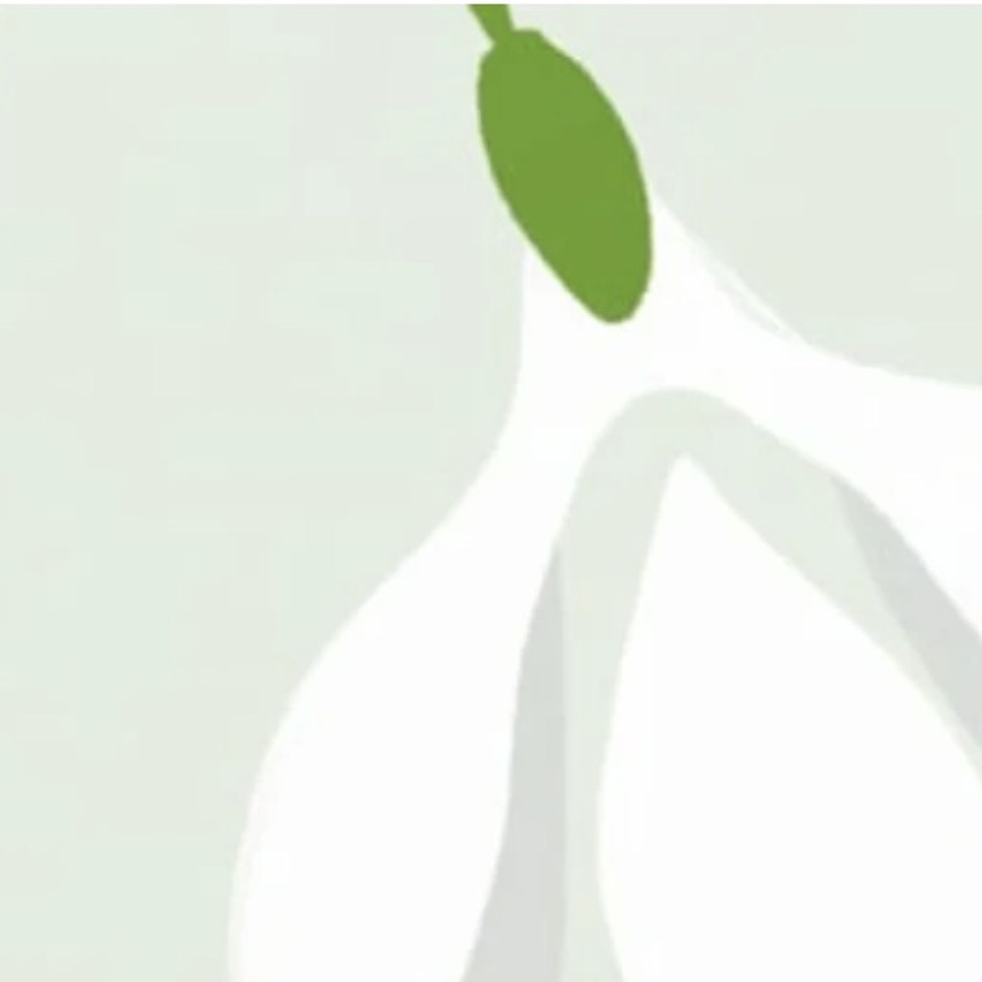 La campanilla de invierno | Cuentos De Flores episode artwork