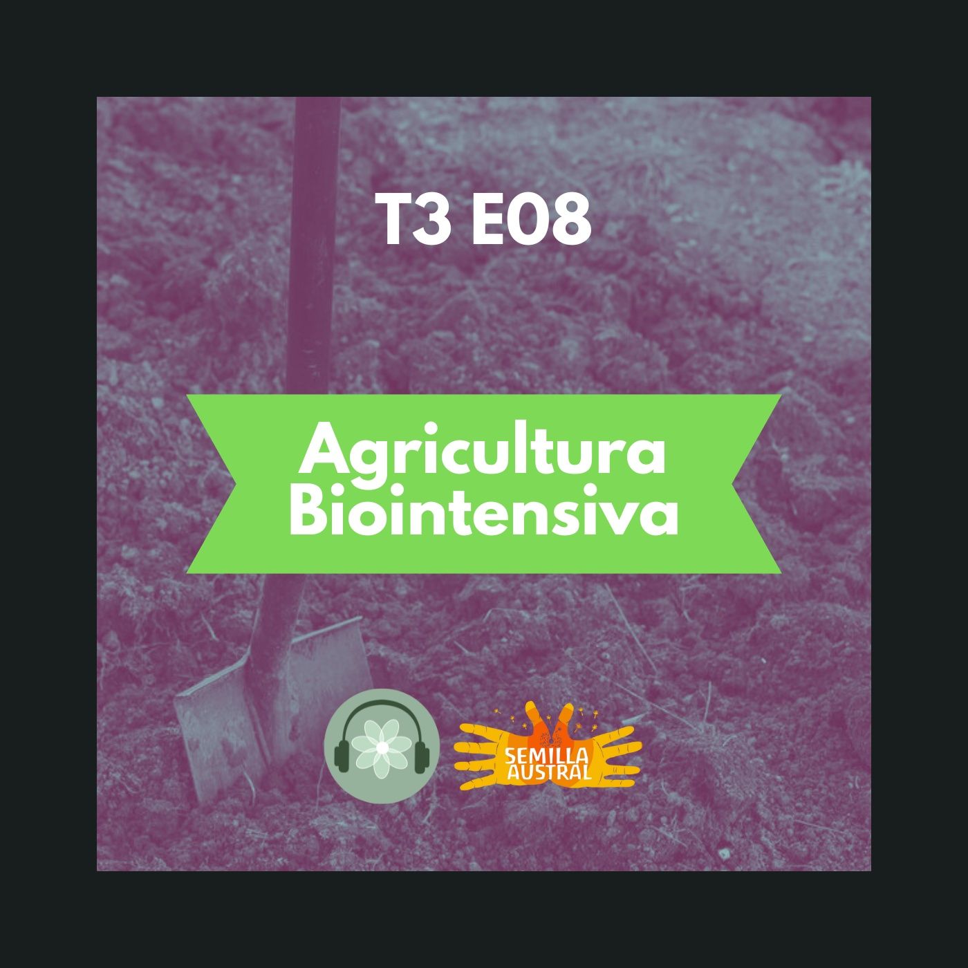 T3E08 - Agricultura Biointensiva