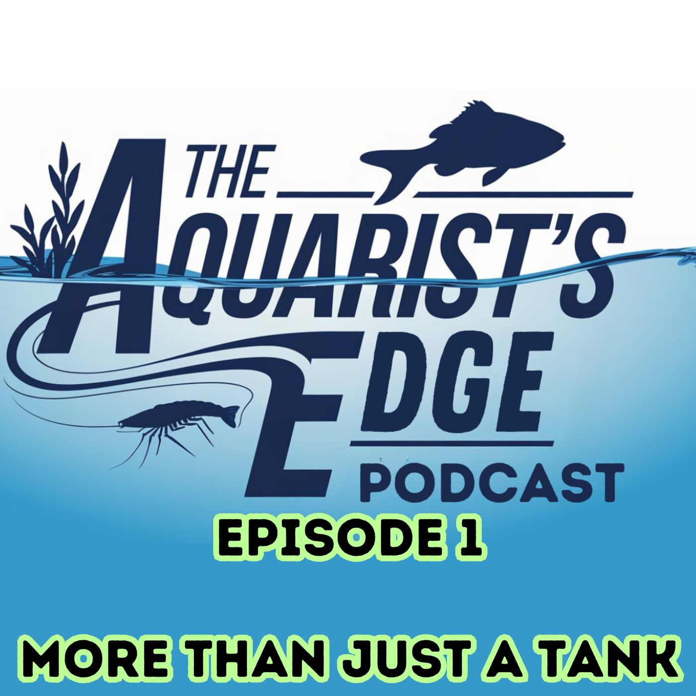 The Aquarist\'s Edge