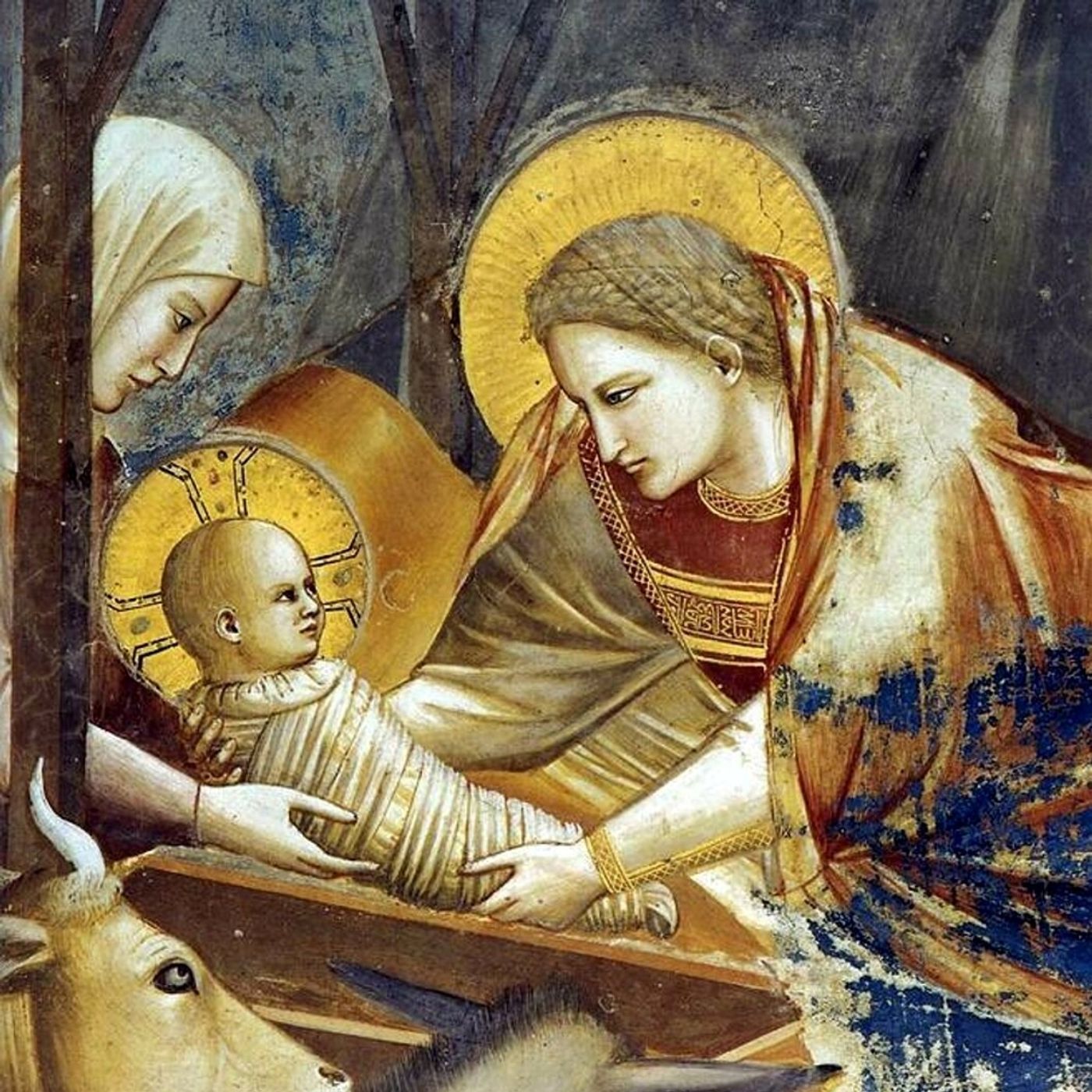 2016-12-25  S.  Natale  - Omelia della notte episode artwork