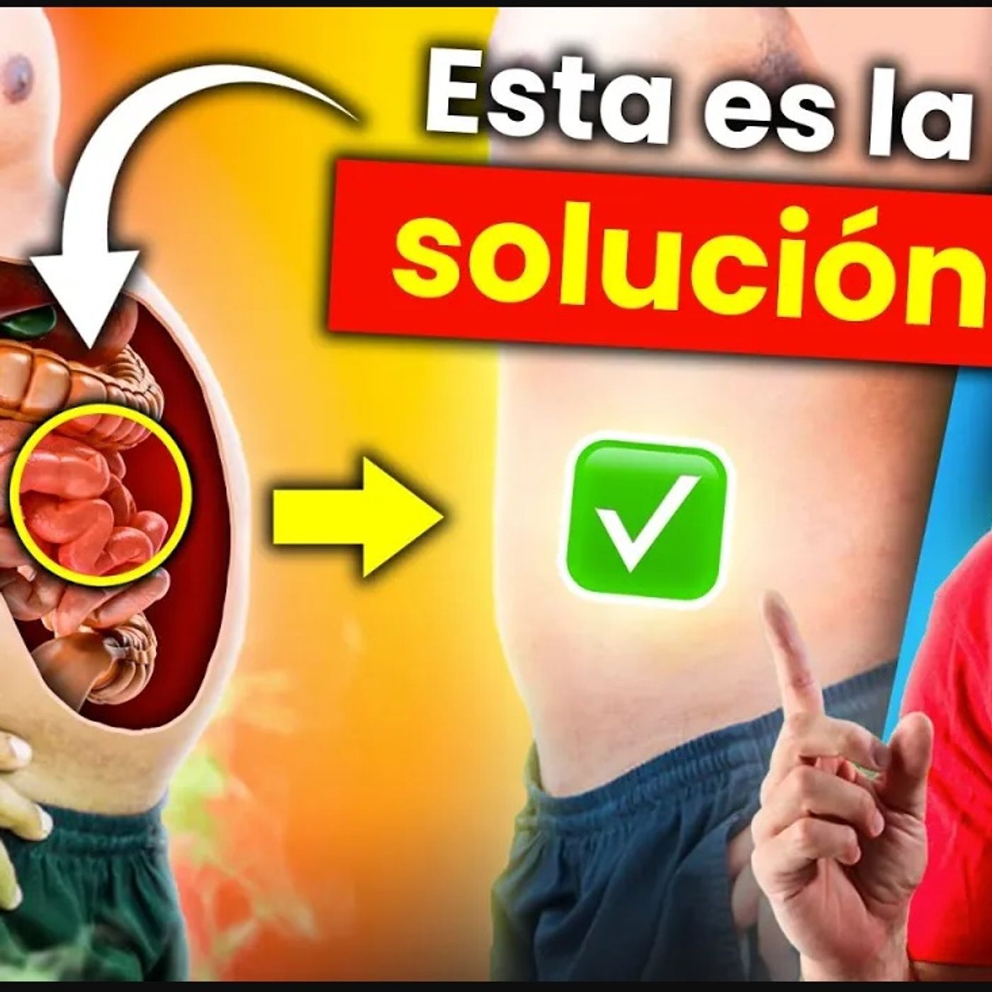 HINCHAZÓN ABDOMINAL: Te REVELO la RECETA para ELIMINARLA en Tiempo Récord
