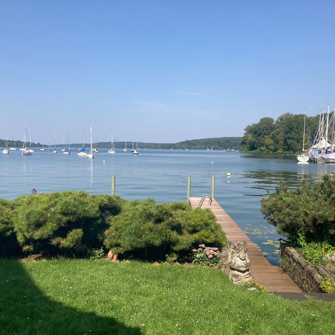 David Rotman\'s podcast