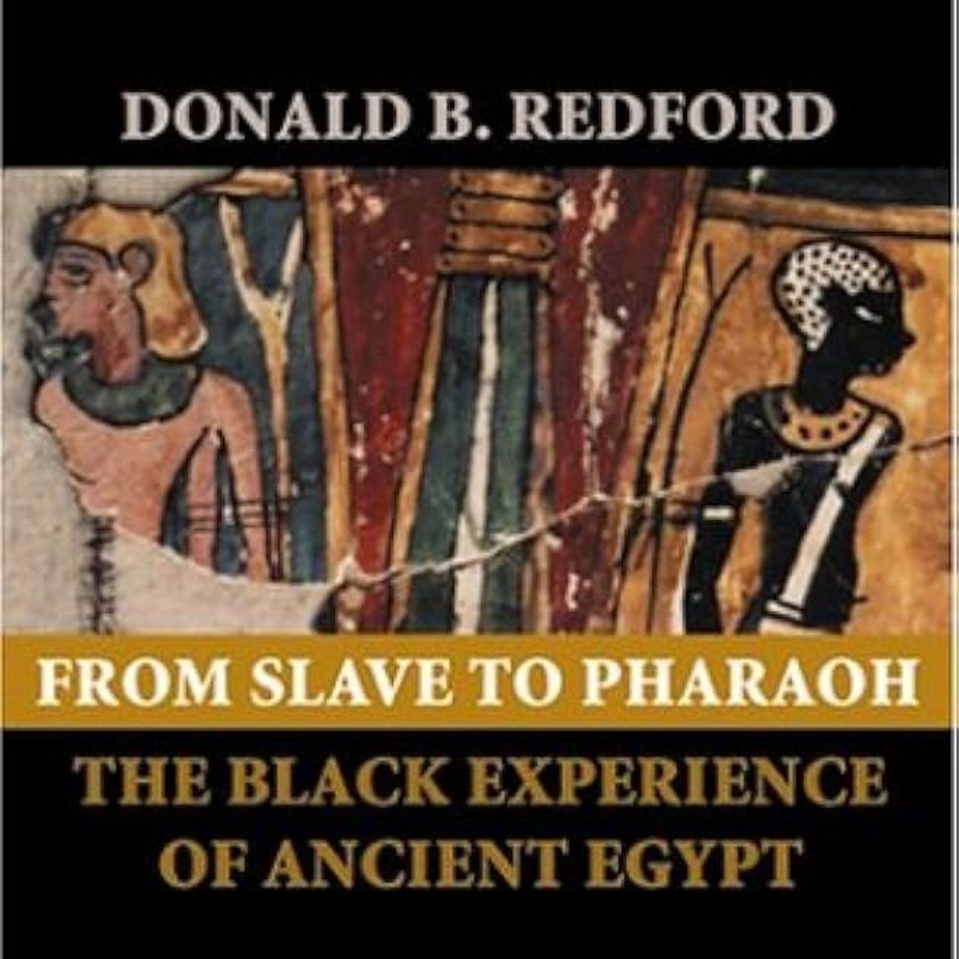 From Slave to Pharaoh: The Black Experience of Ancient Egypt