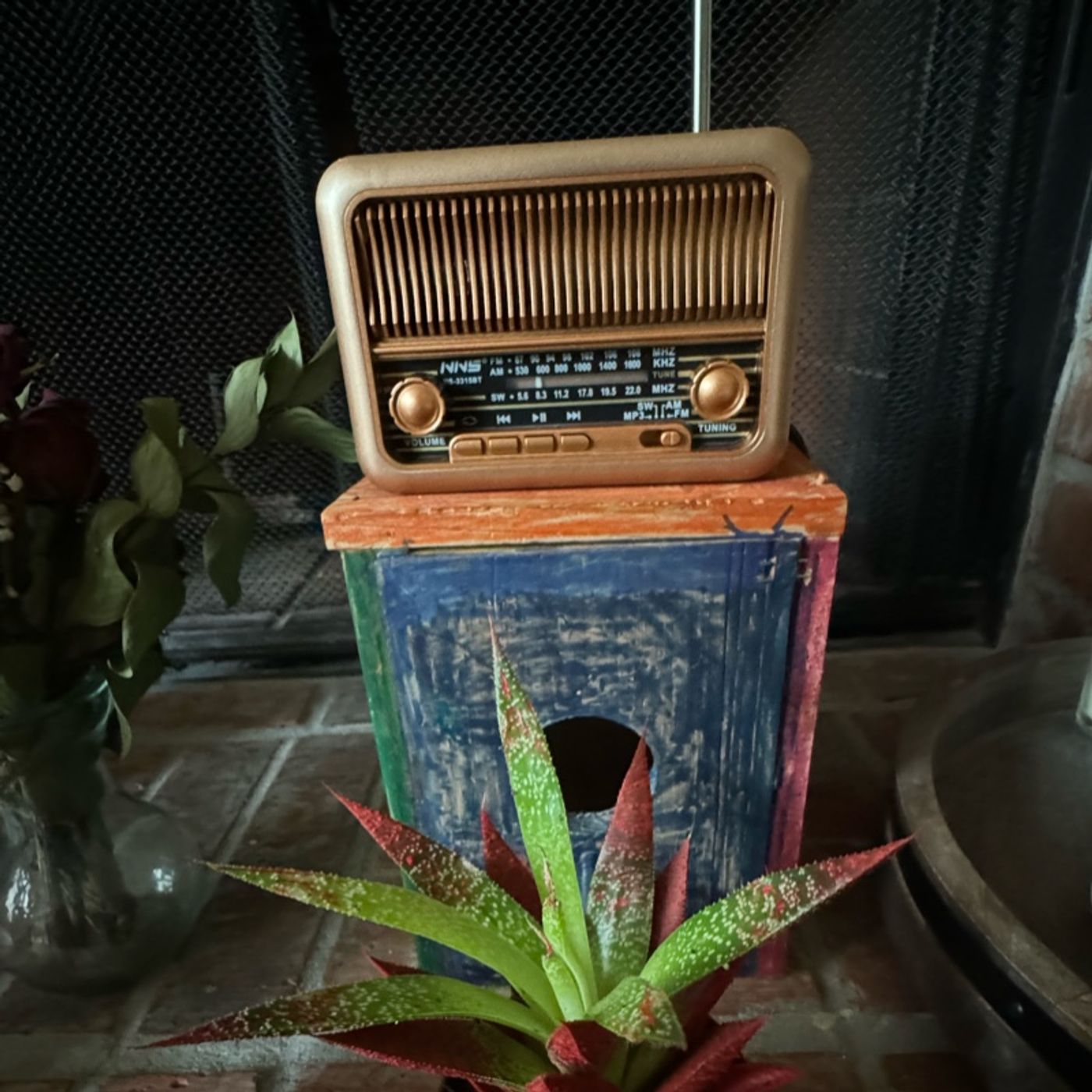 Eski Radyo episode artwork