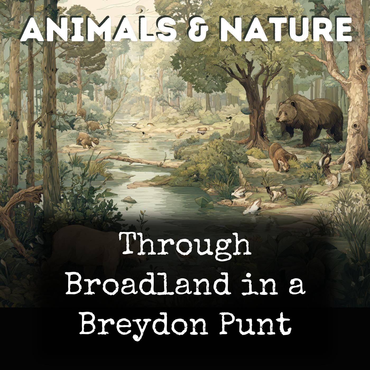 Through Broadland in a Breydon Punt cover art