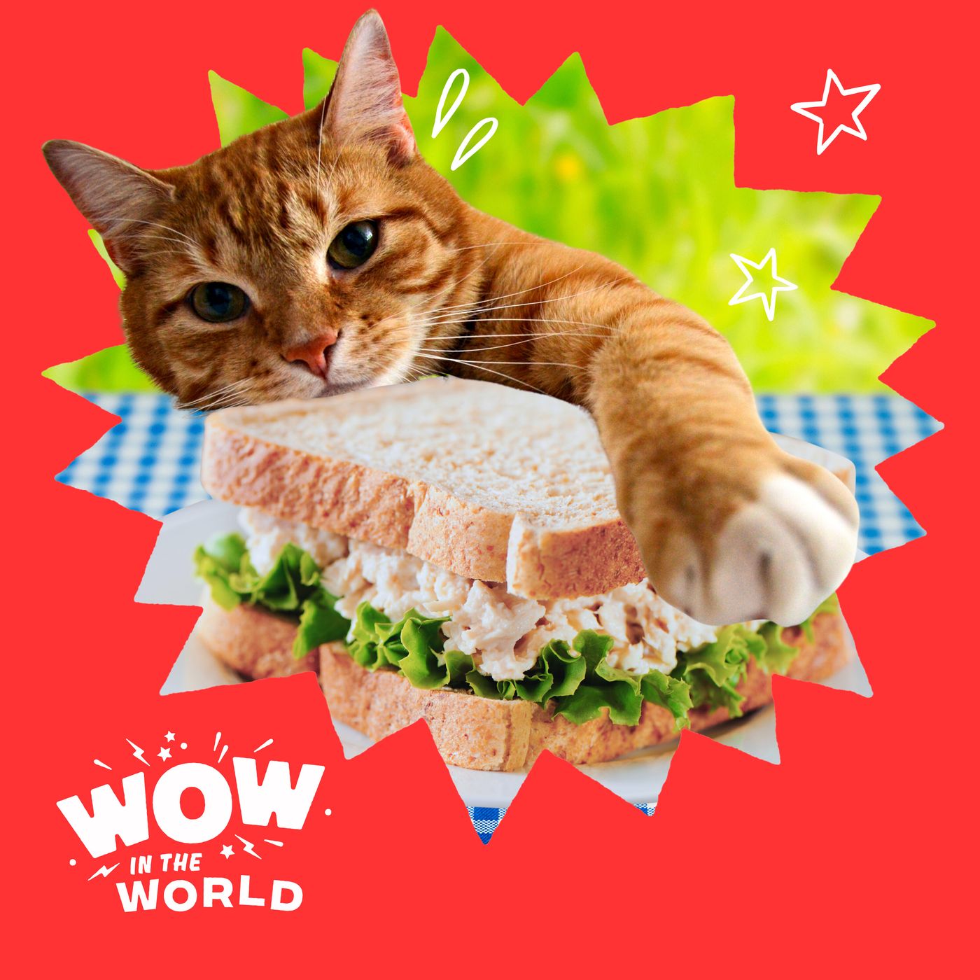It's Tuna Time! Discover the Science of Why Cats Love Savory Foods (Encore)
