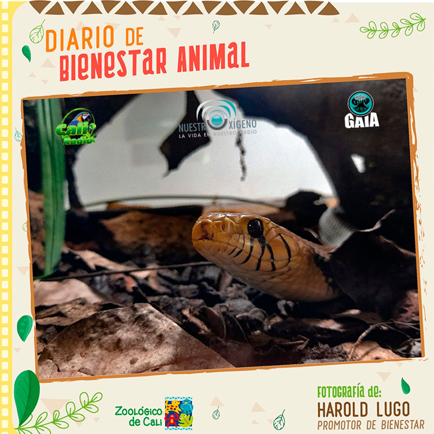 2022 Nuestro Oxigeno 07- Julio
