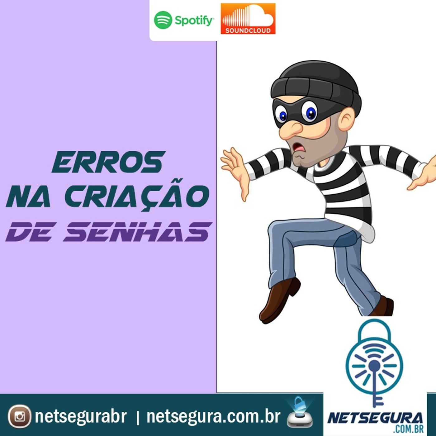 NetSegura - Segurança Digital