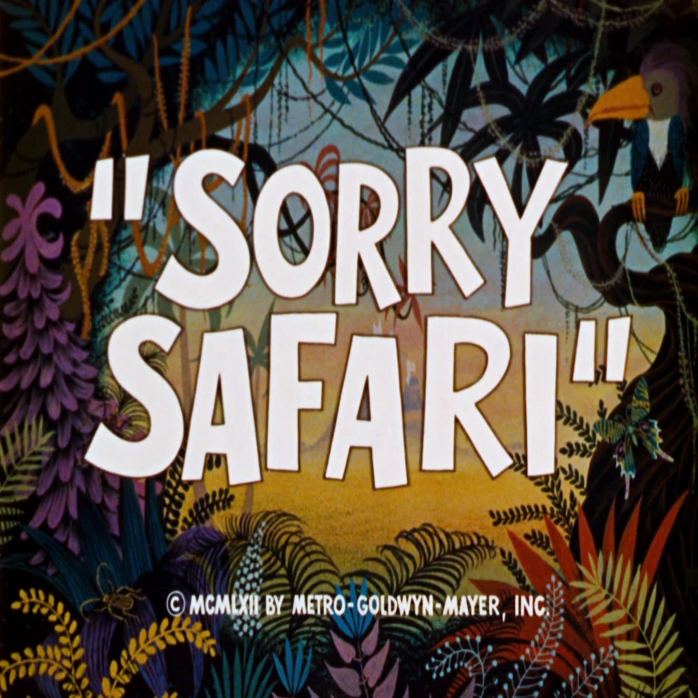 125. Sorry Safari